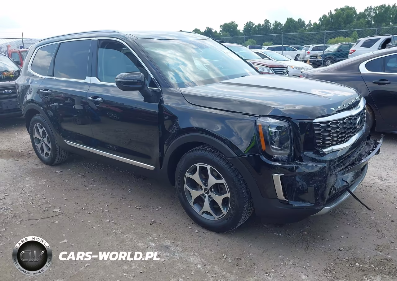 2020 Kia Telluride Ex VIN:5XYP34HC1LG048181 - 1