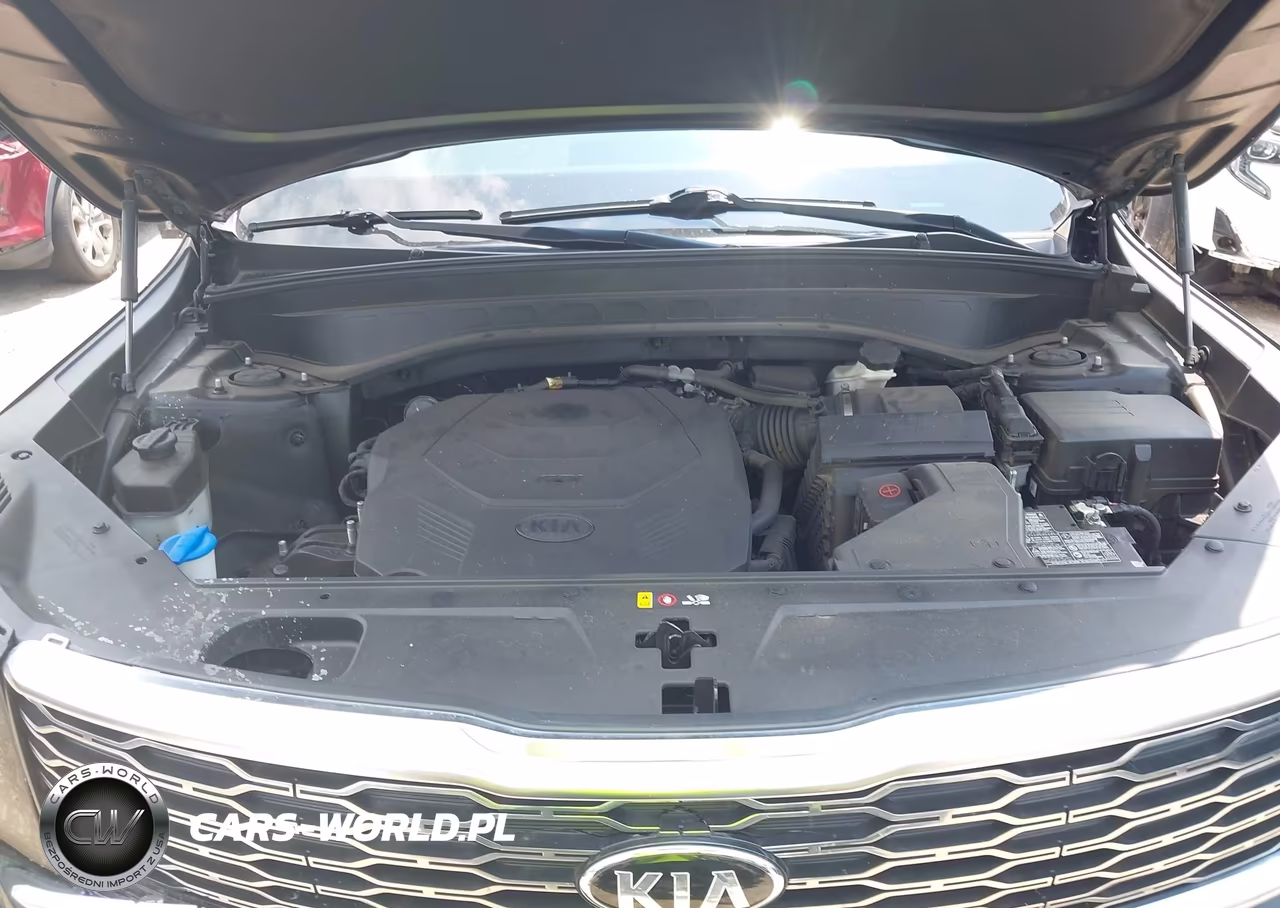 2020 Kia Telluride Ex VIN:5XYP34HC1LG048181 - 10