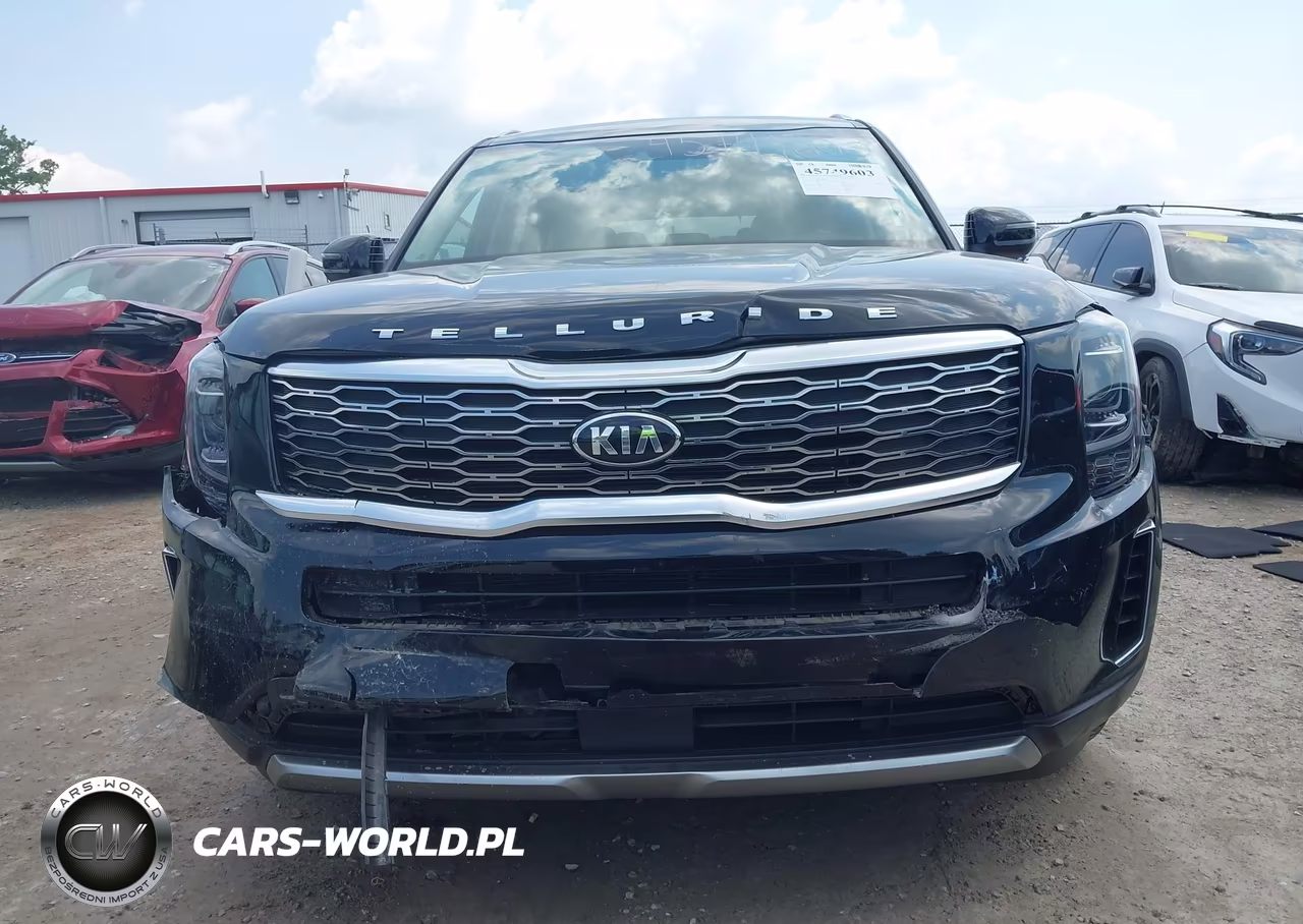 2020 Kia Telluride Ex VIN:5XYP34HC1LG048181 - 13