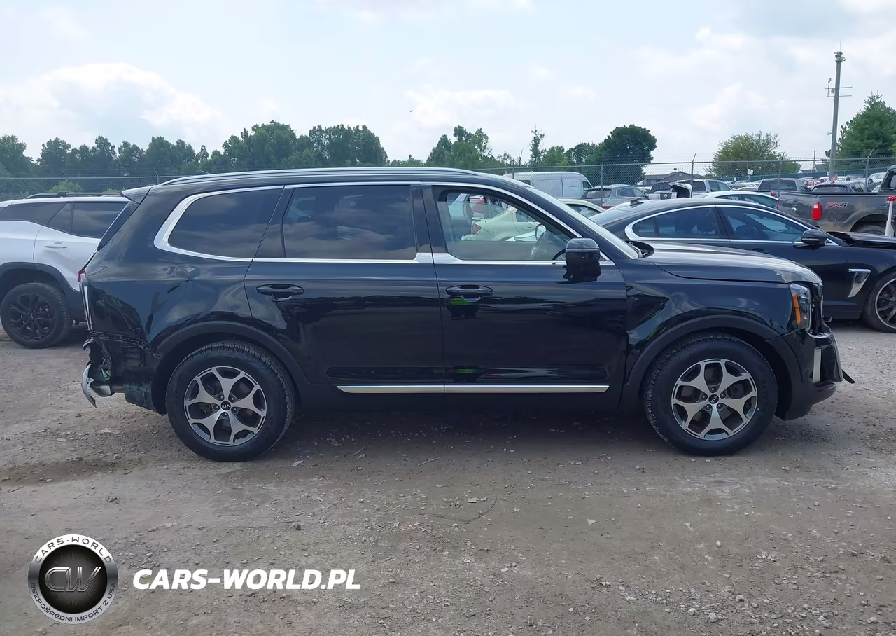 2020 Kia Telluride Ex VIN:5XYP34HC1LG048181 - 14