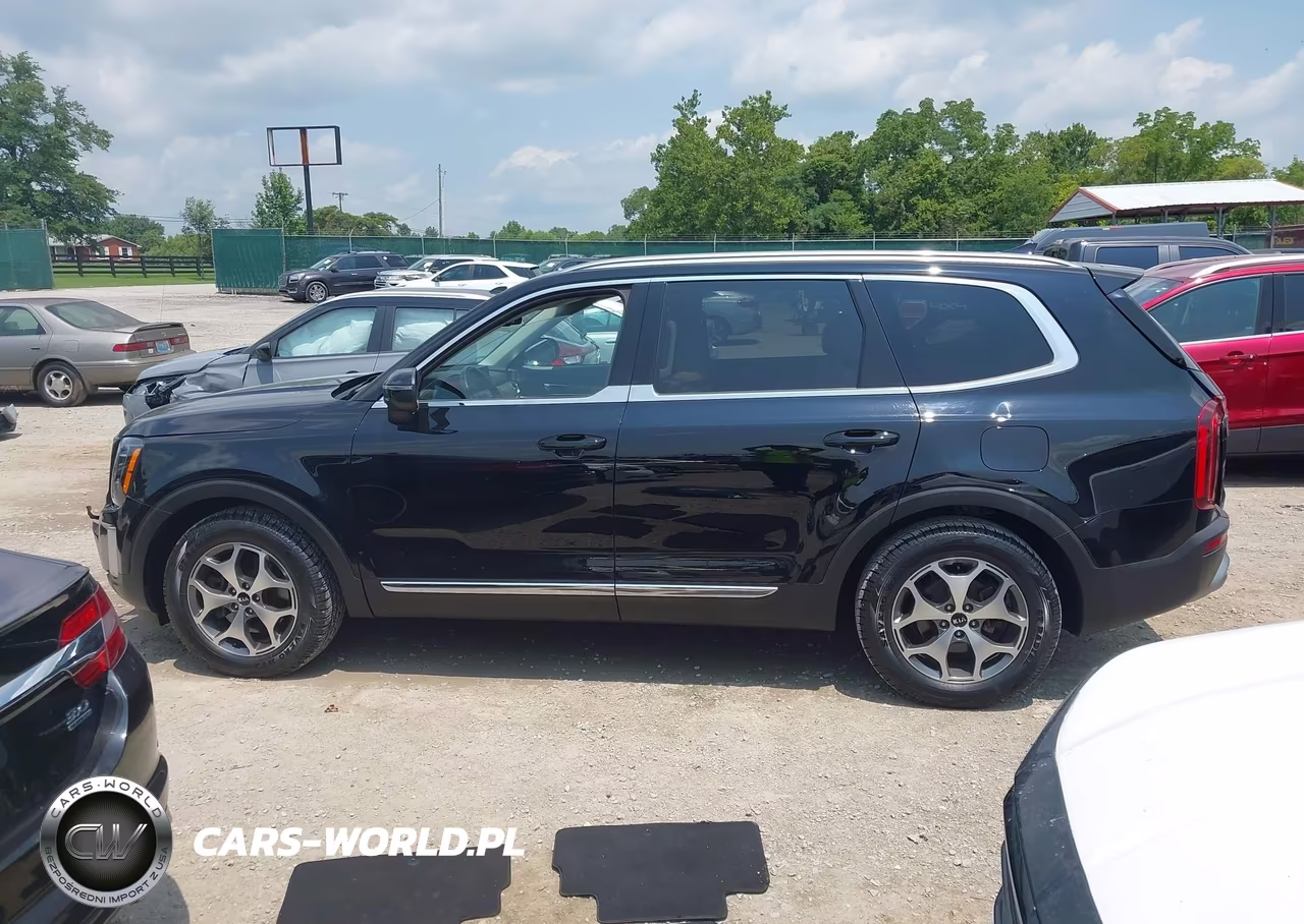 2020 Kia Telluride Ex VIN:5XYP34HC1LG048181 - 15