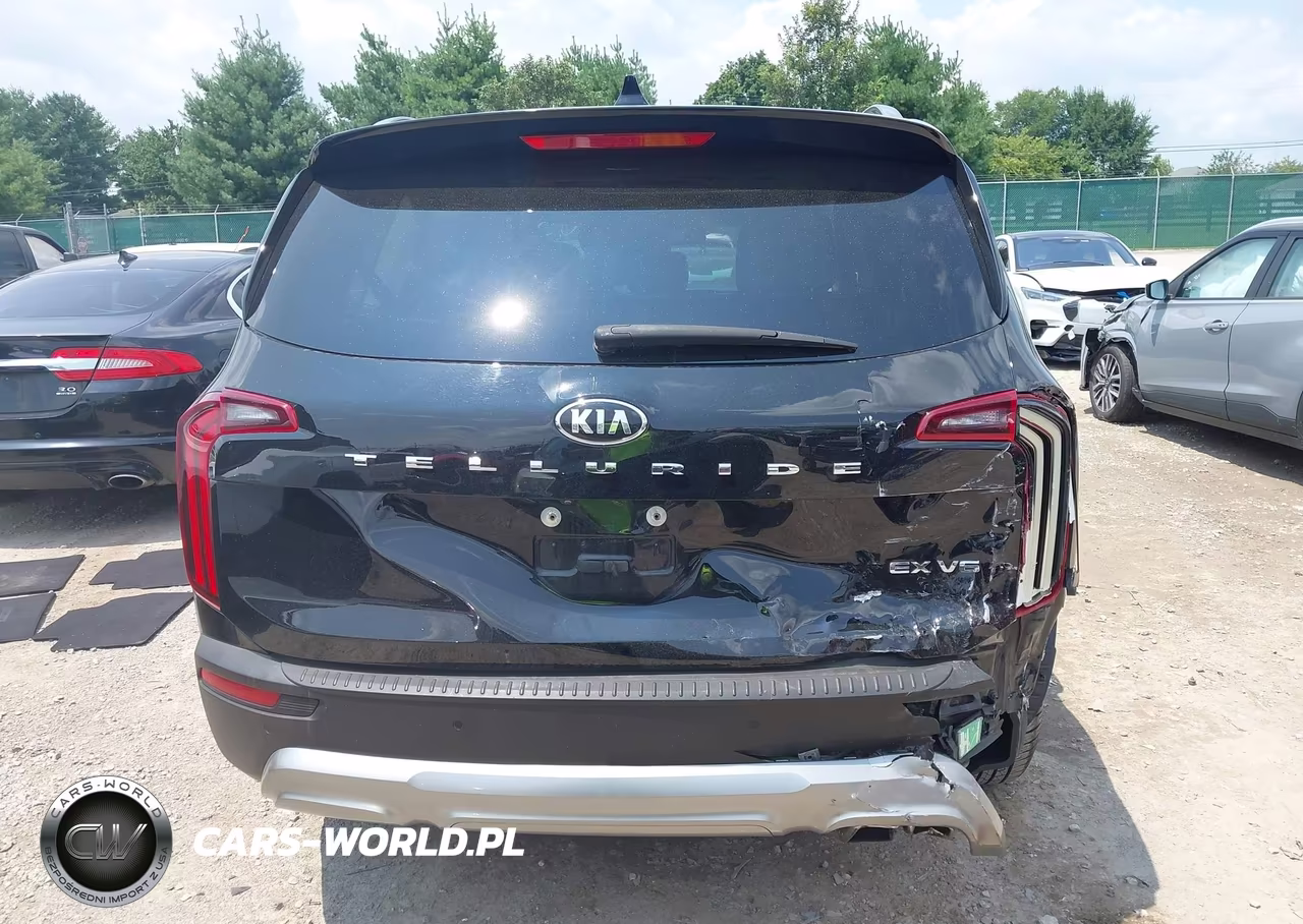2020 Kia Telluride Ex VIN:5XYP34HC1LG048181 - 17