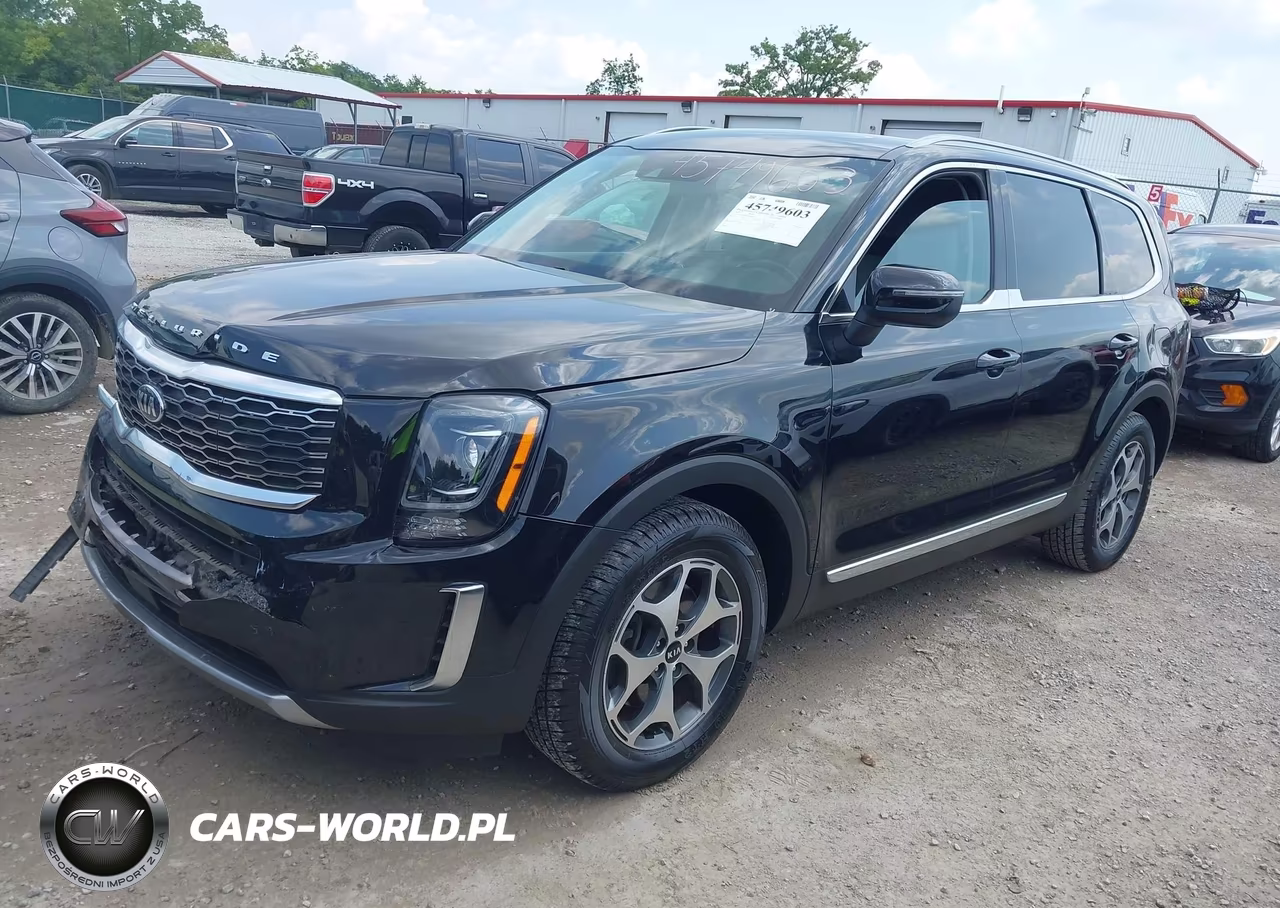 2020 Kia Telluride Ex VIN:5XYP34HC1LG048181 - 2