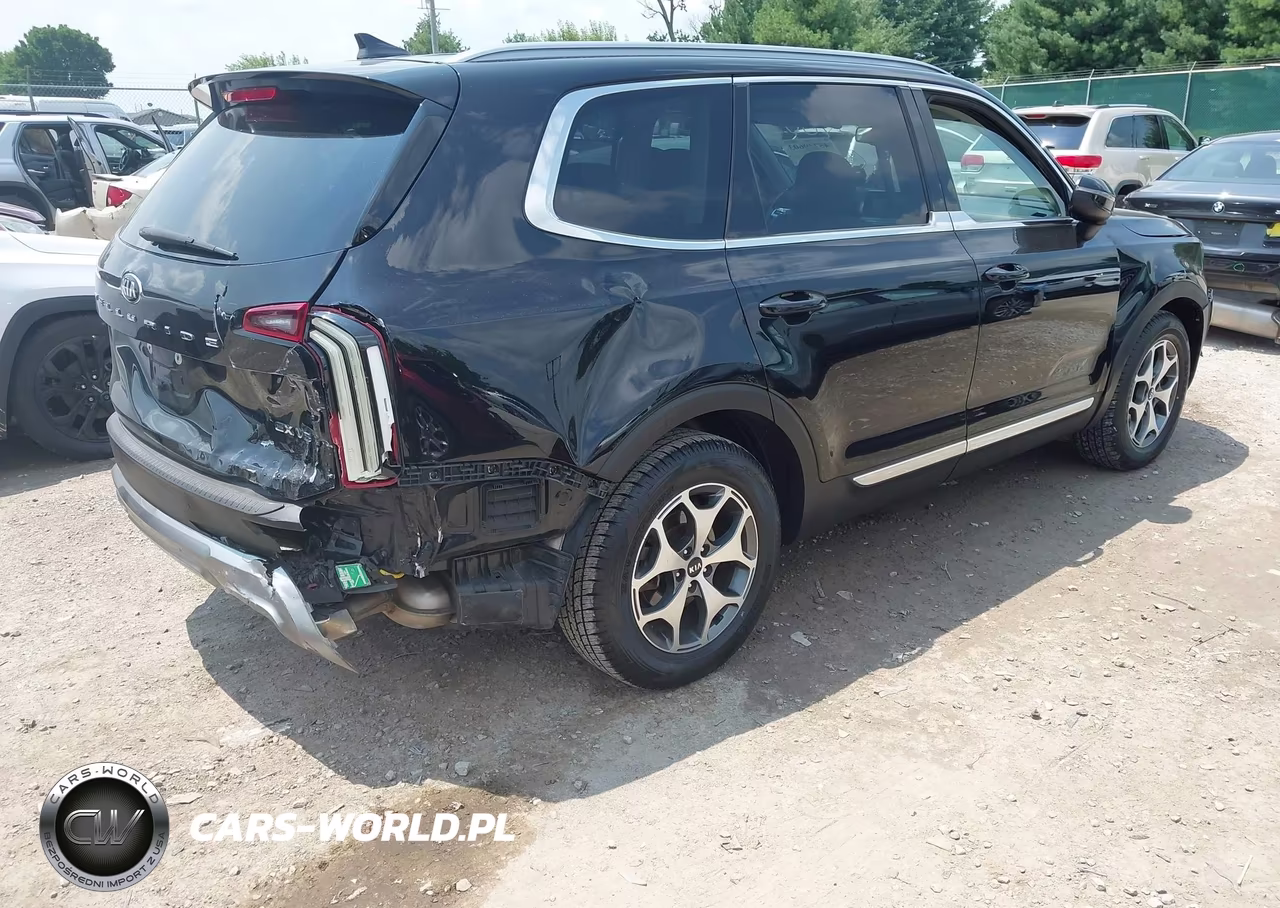 2020 Kia Telluride Ex VIN:5XYP34HC1LG048181 - 4