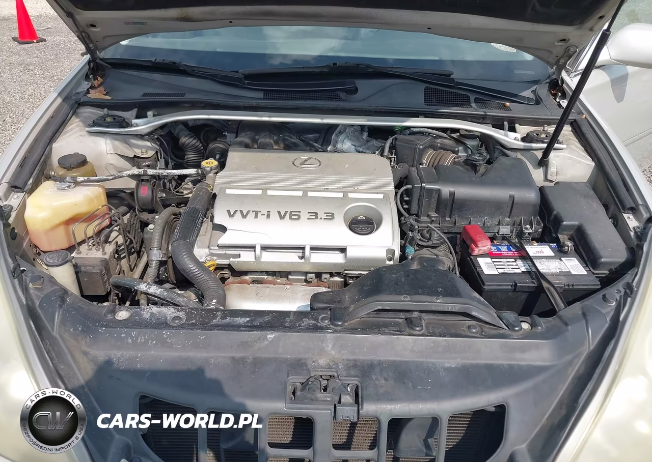 2004 Lexus Es 330 VIN:JTHBA30GX45023815 - 10