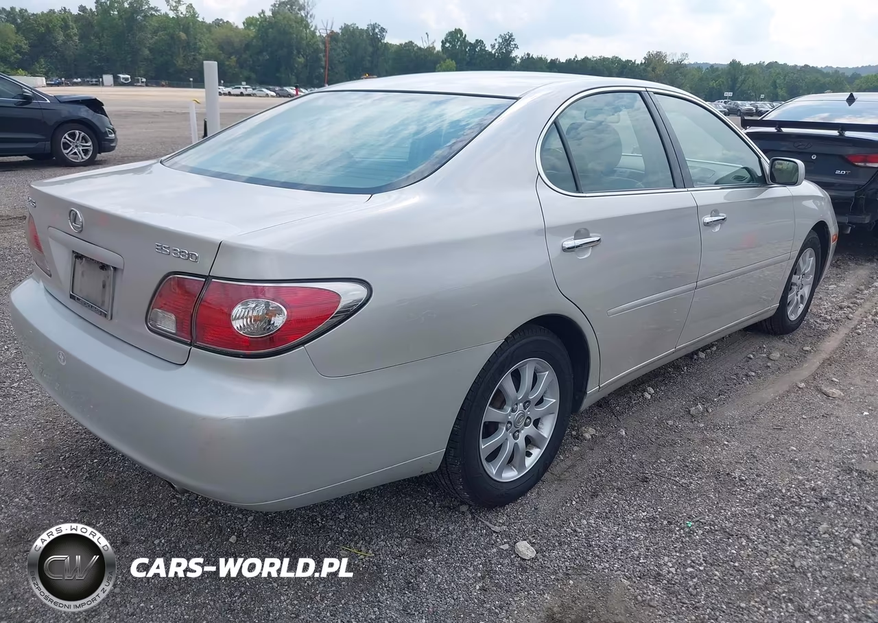 2004 Lexus Es 330 VIN:JTHBA30GX45023815 - 4