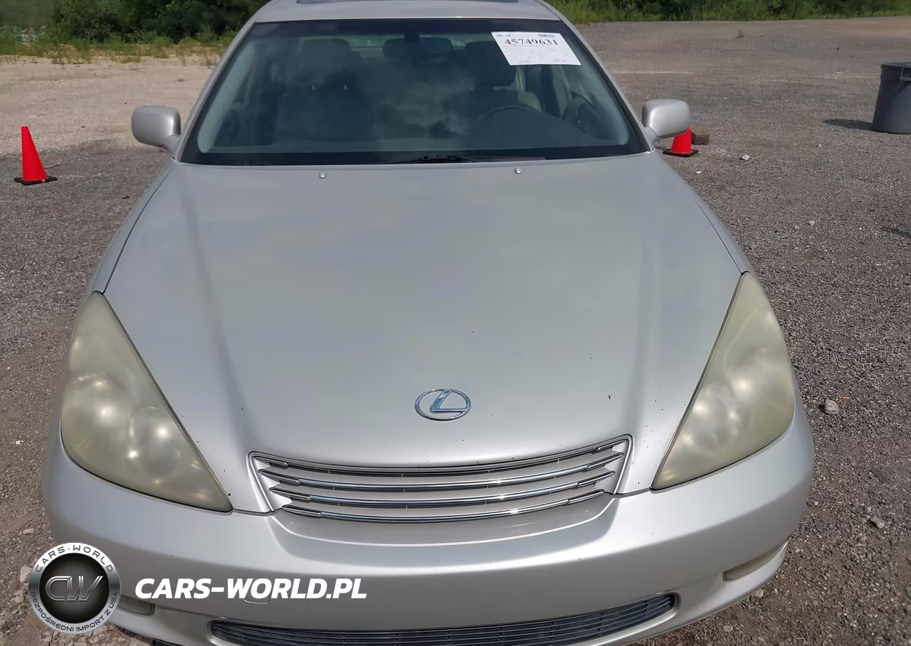2004 Lexus Es 330 VIN:JTHBA30GX45023815 - 6