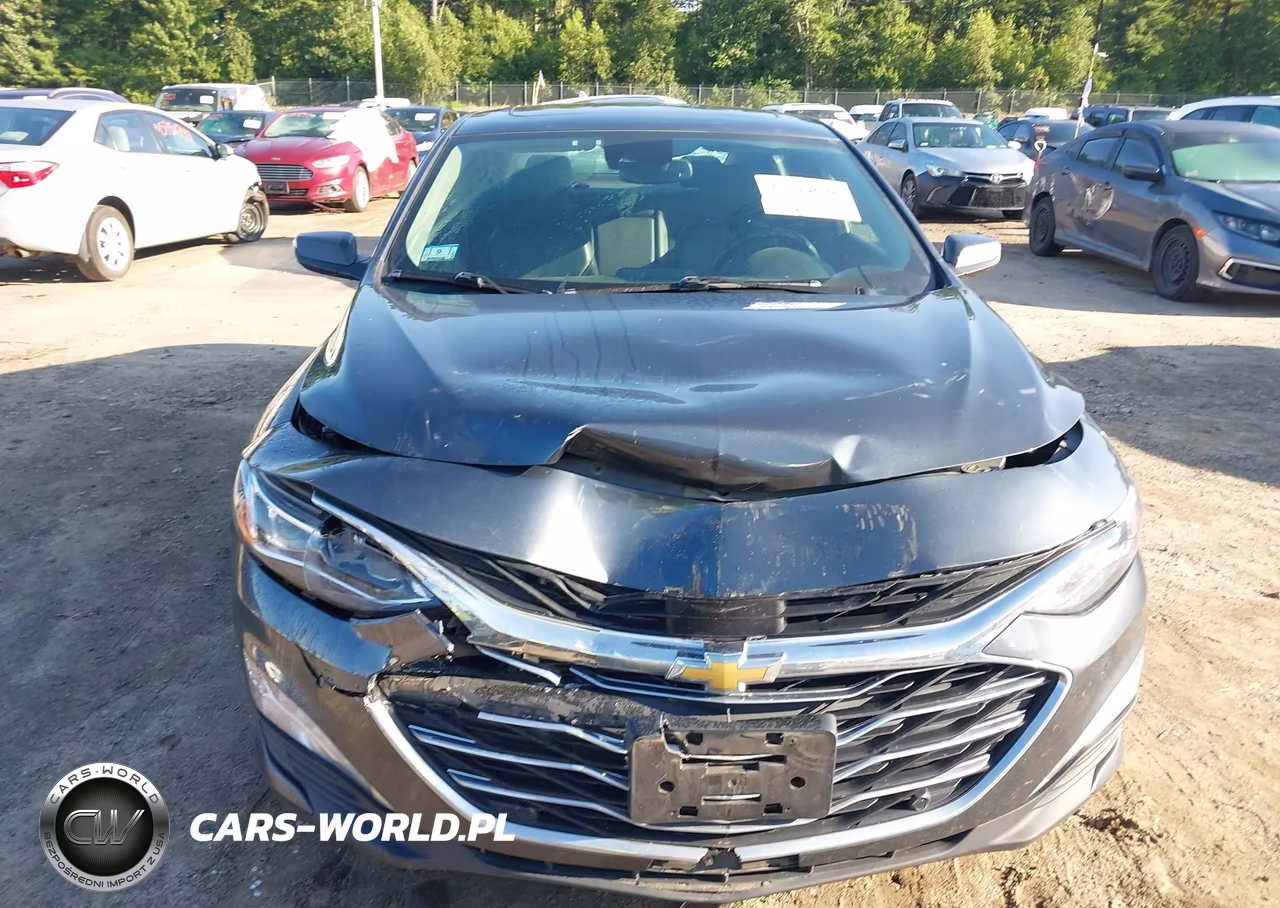 2019 Chevrolet Malibu Premier VIN:1G1ZE5SX6KF200275 - 12