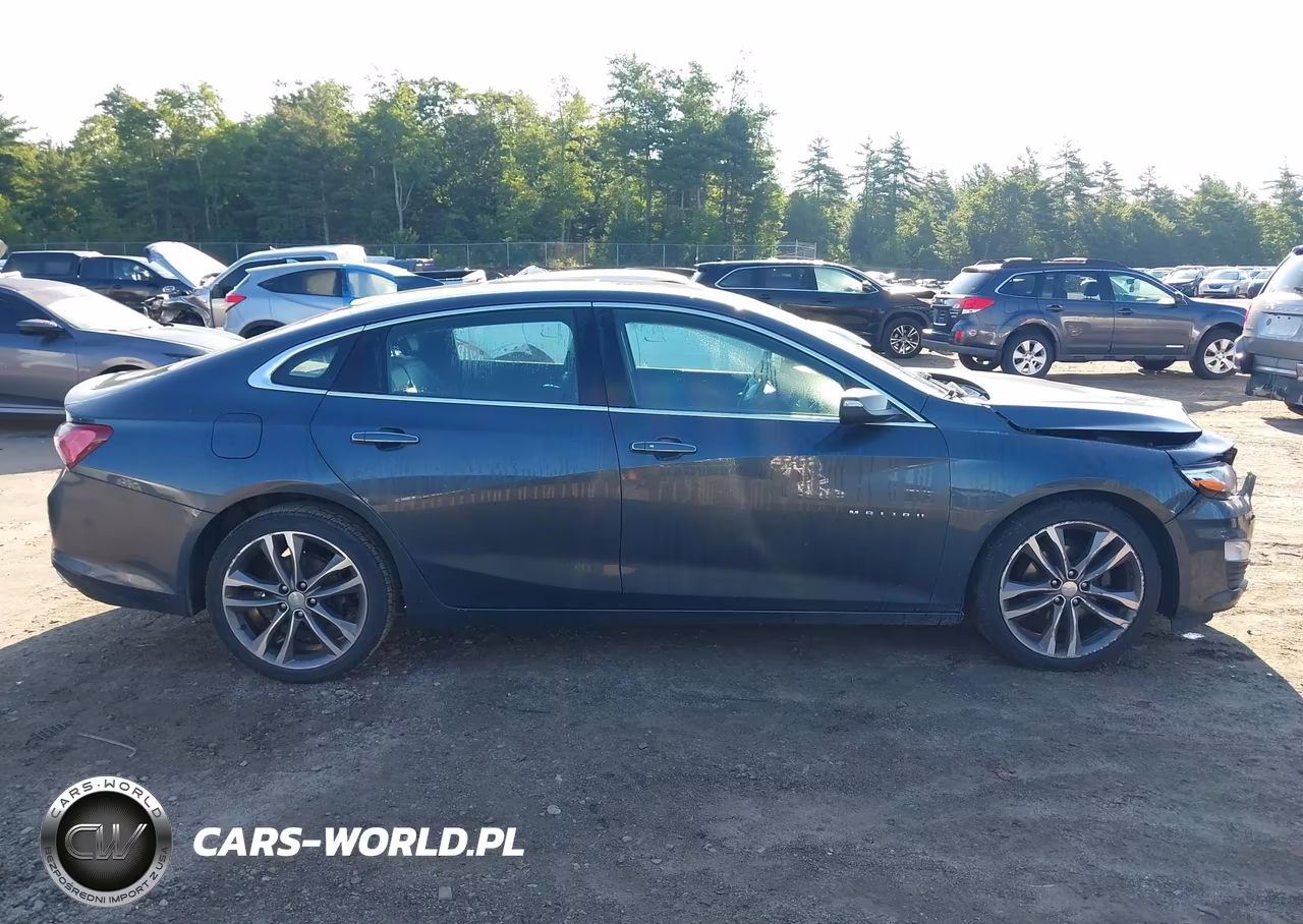 2019 Chevrolet Malibu Premier VIN:1G1ZE5SX6KF200275 - 13