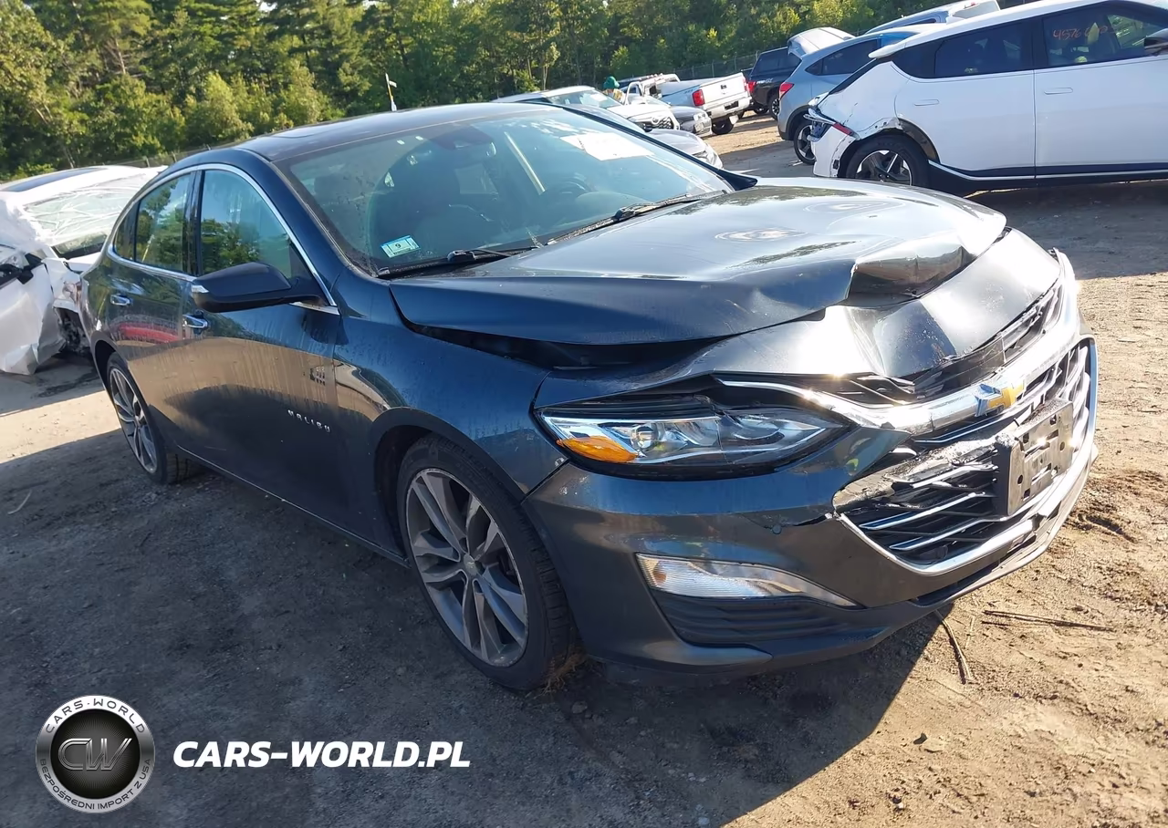 2019 Chevrolet Malibu Premier VIN:1G1ZE5SX6KF200275 - 17