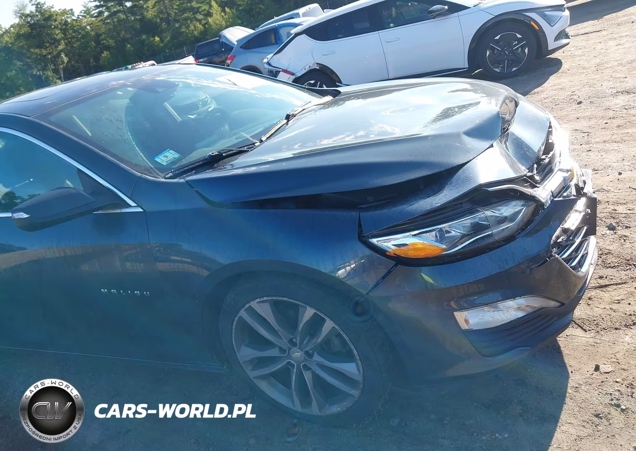 2019 Chevrolet Malibu Premier VIN:1G1ZE5SX6KF200275 - 18