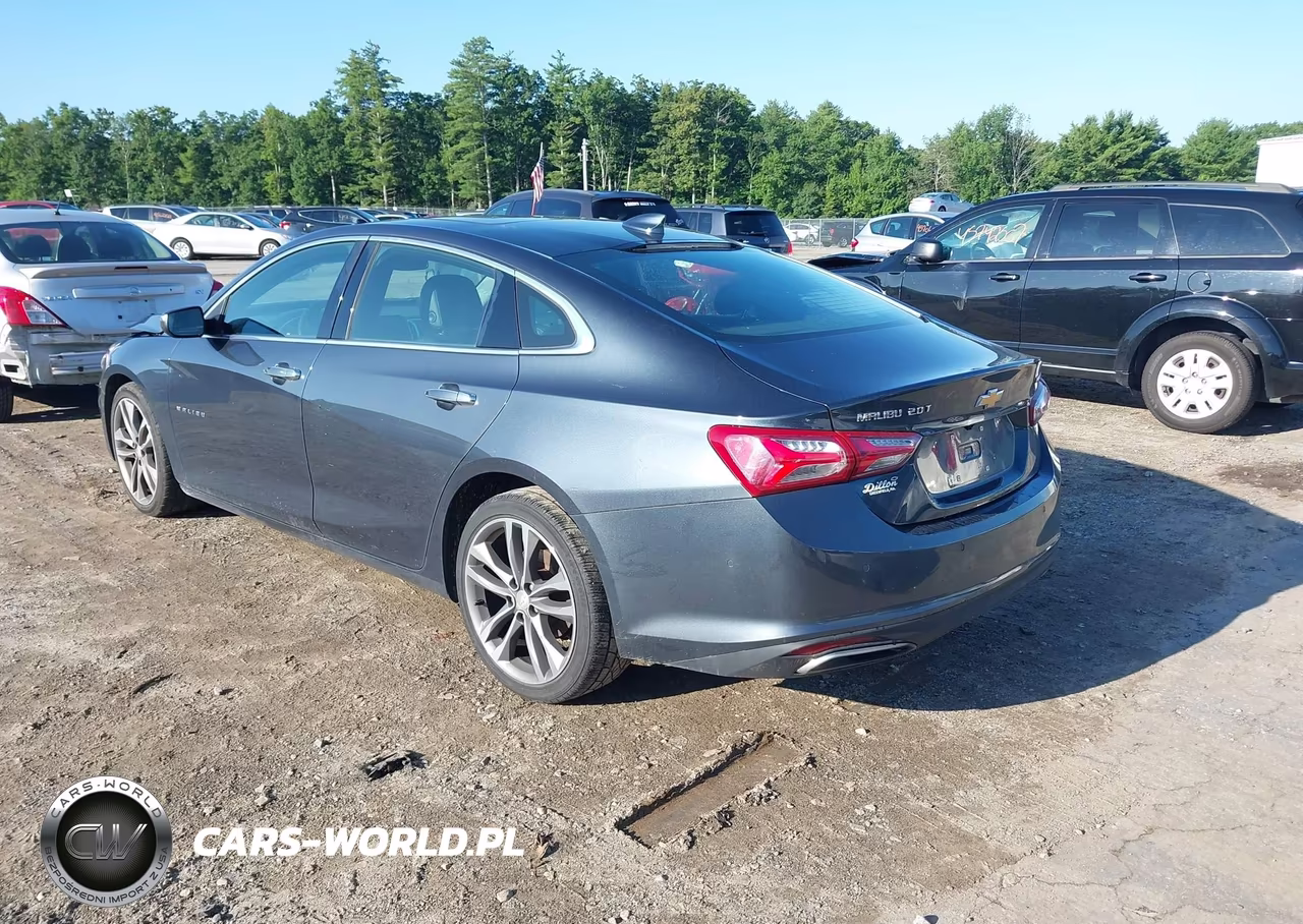 2019 Chevrolet Malibu Premier VIN:1G1ZE5SX6KF200275 - 3