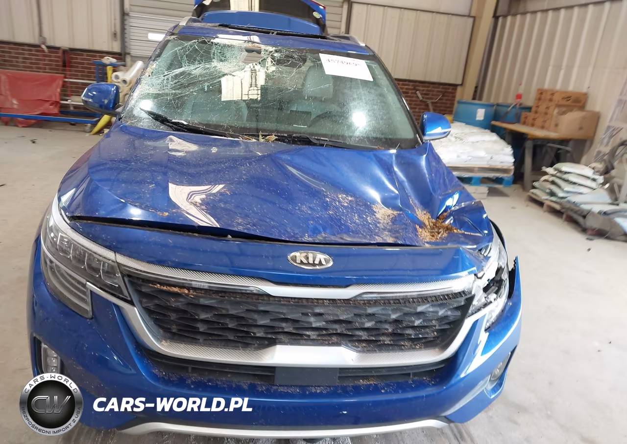 2021 Kia Seltos Sx Turbo VIN:KNDETCA23M7099697 - 19