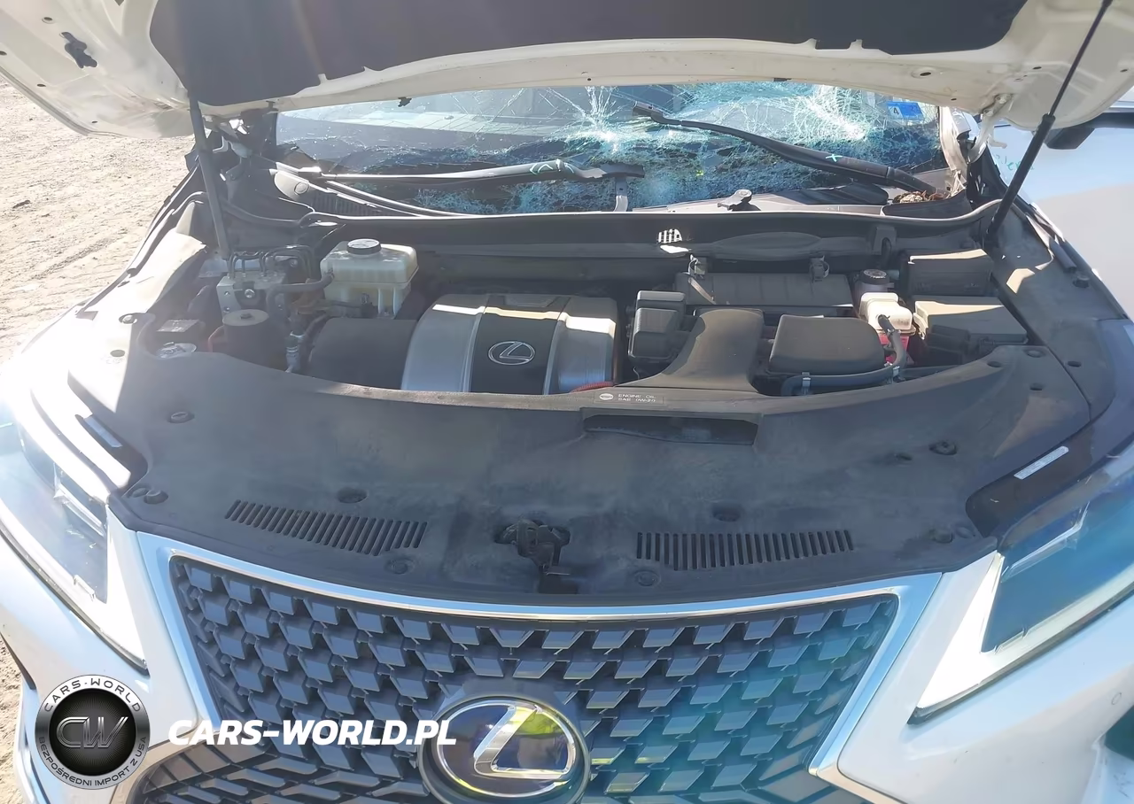 2021 Lexus Rx 450H VIN:2T2HGMDA1MC068629 - 10