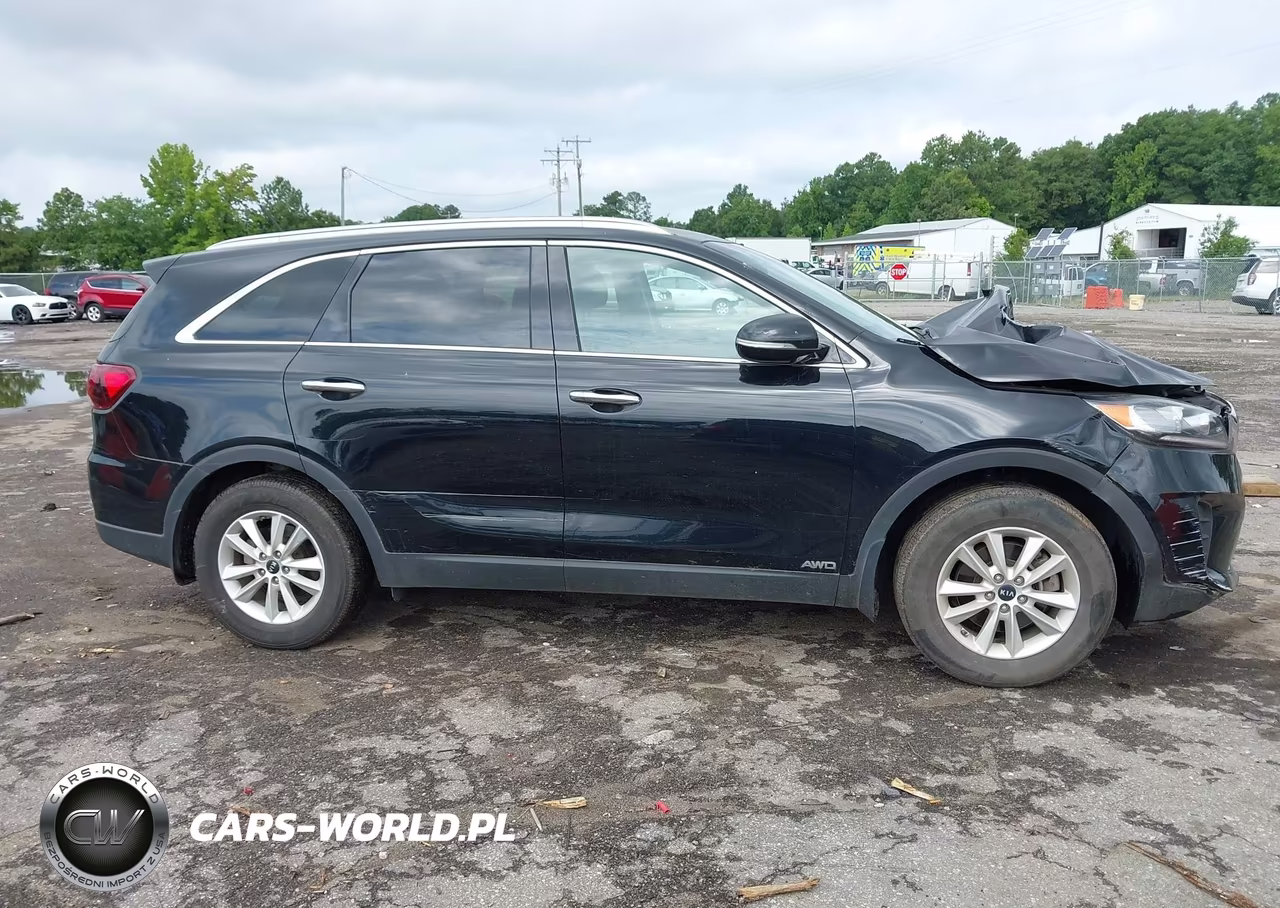2020 Kia Sorento 2.4L Lx VIN:5XYPGDA32LG633611 - 13