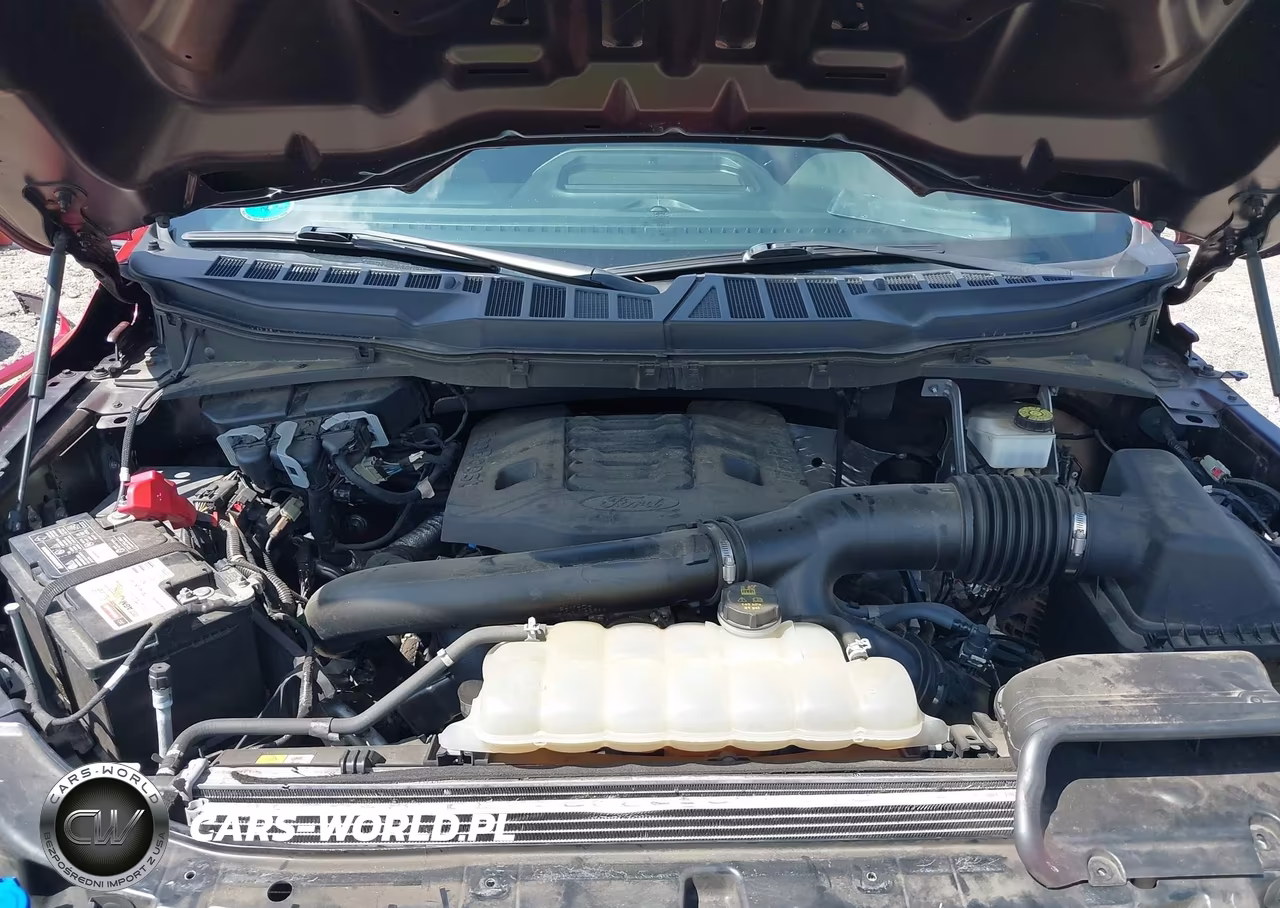 2023 Ford F-150 Xl VIN:1FTFW1E8XPFA44494 - 10
