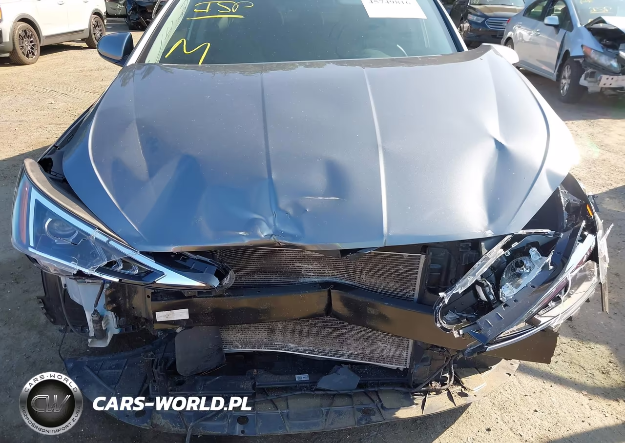 2019 Hyundai Elantra Sel VIN:5NPD84LF5KH473982 - 10