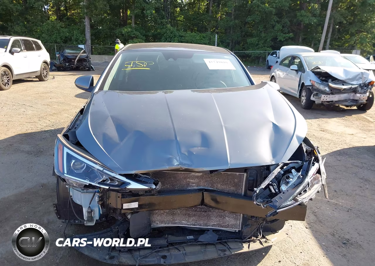 2019 Hyundai Elantra Sel VIN:5NPD84LF5KH473982 - 12