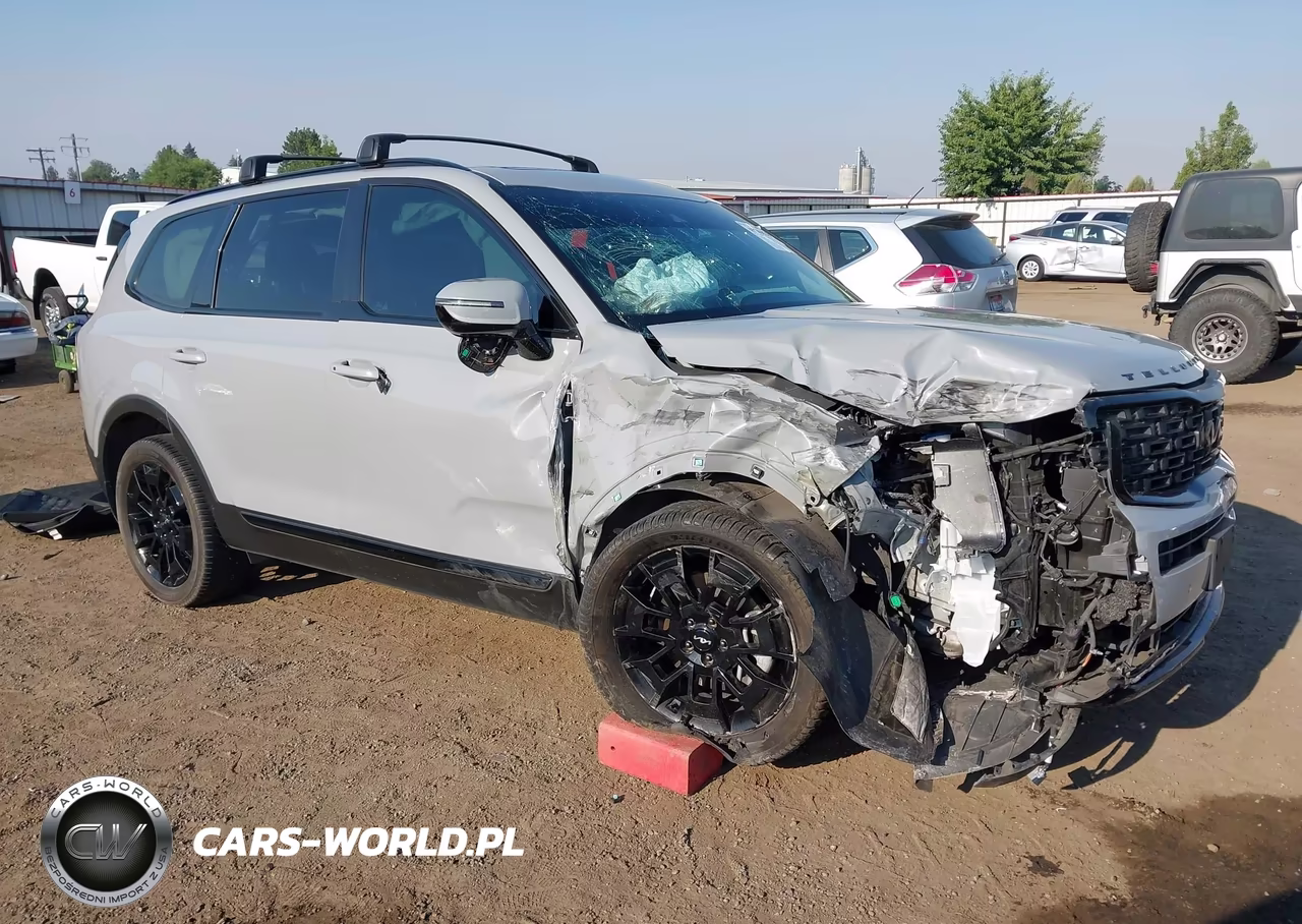 2022 Kia Telluride Sx VIN:5XYP5DHC2NG240187 - 1