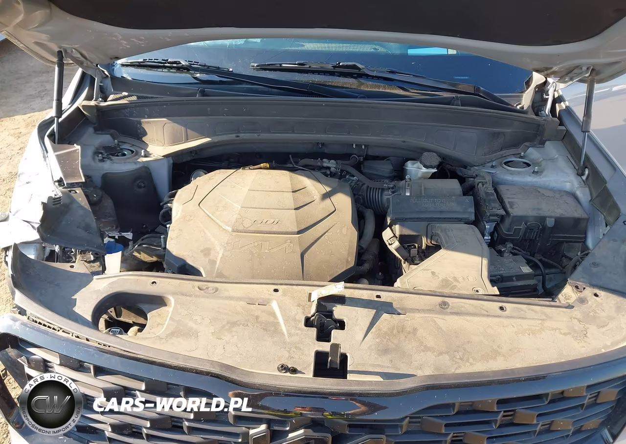 2022 Kia Telluride Sx VIN:5XYP5DHC2NG240187 - 10