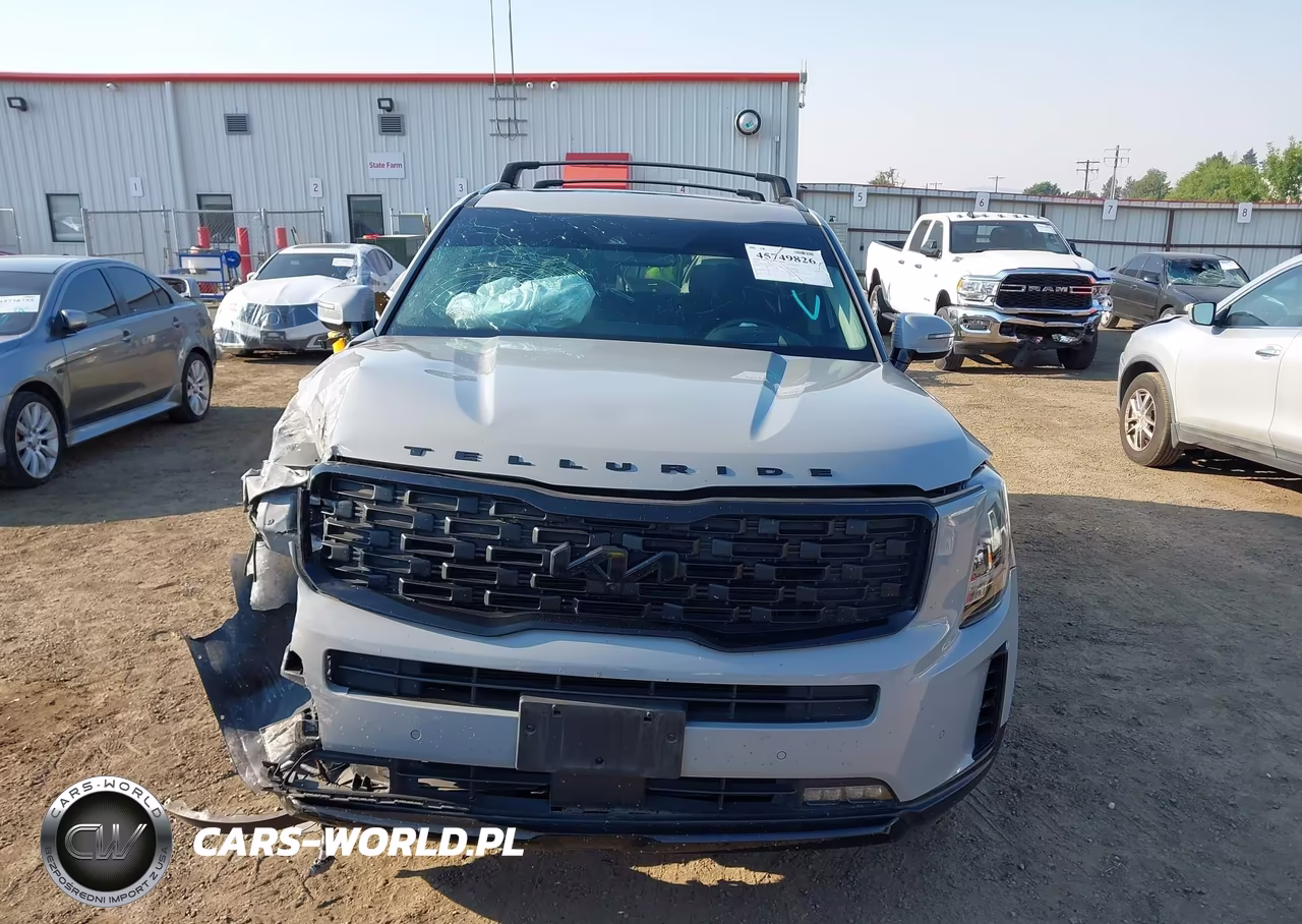 2022 Kia Telluride Sx VIN:5XYP5DHC2NG240187 - 12