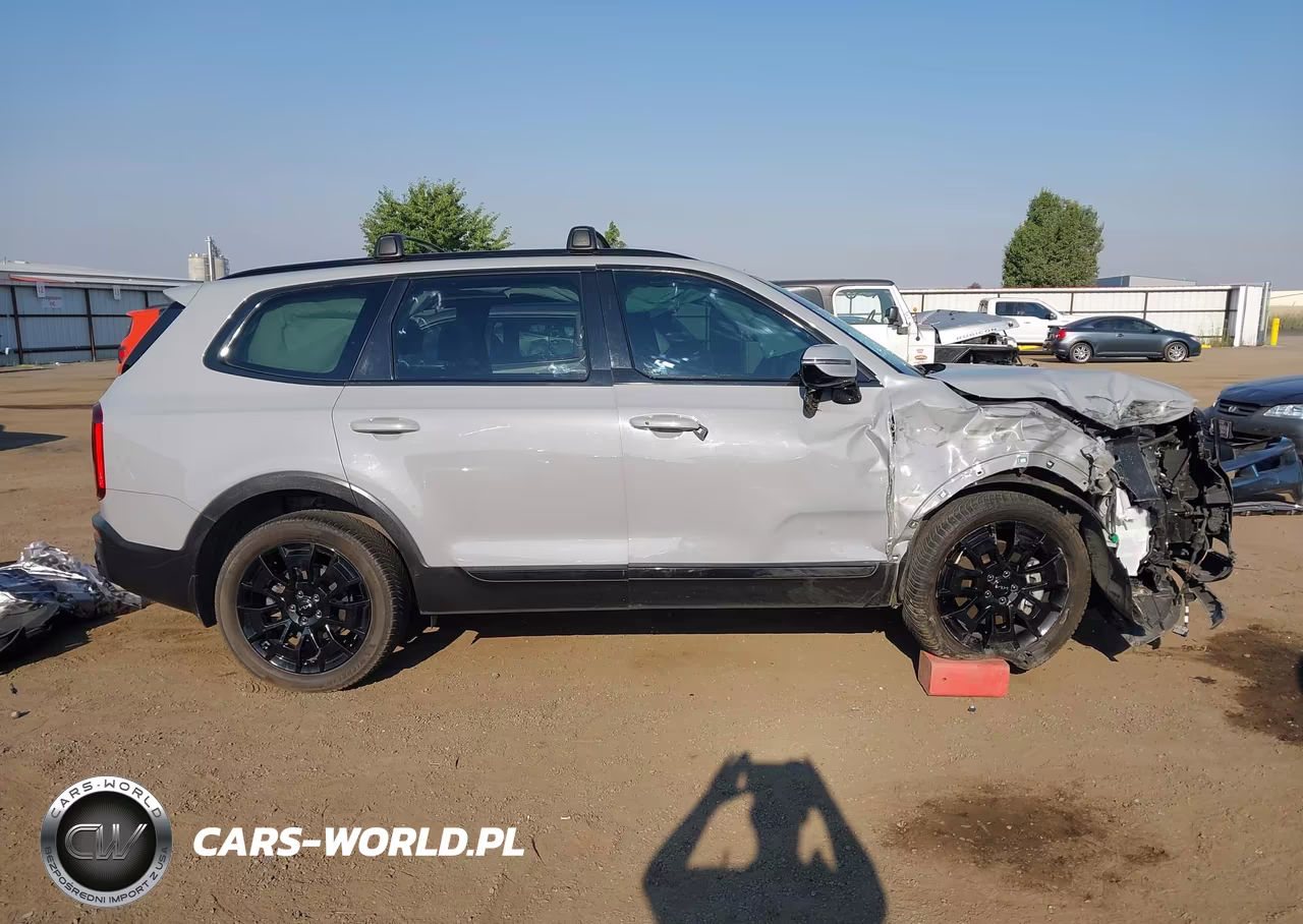 2022 Kia Telluride Sx VIN:5XYP5DHC2NG240187 - 13