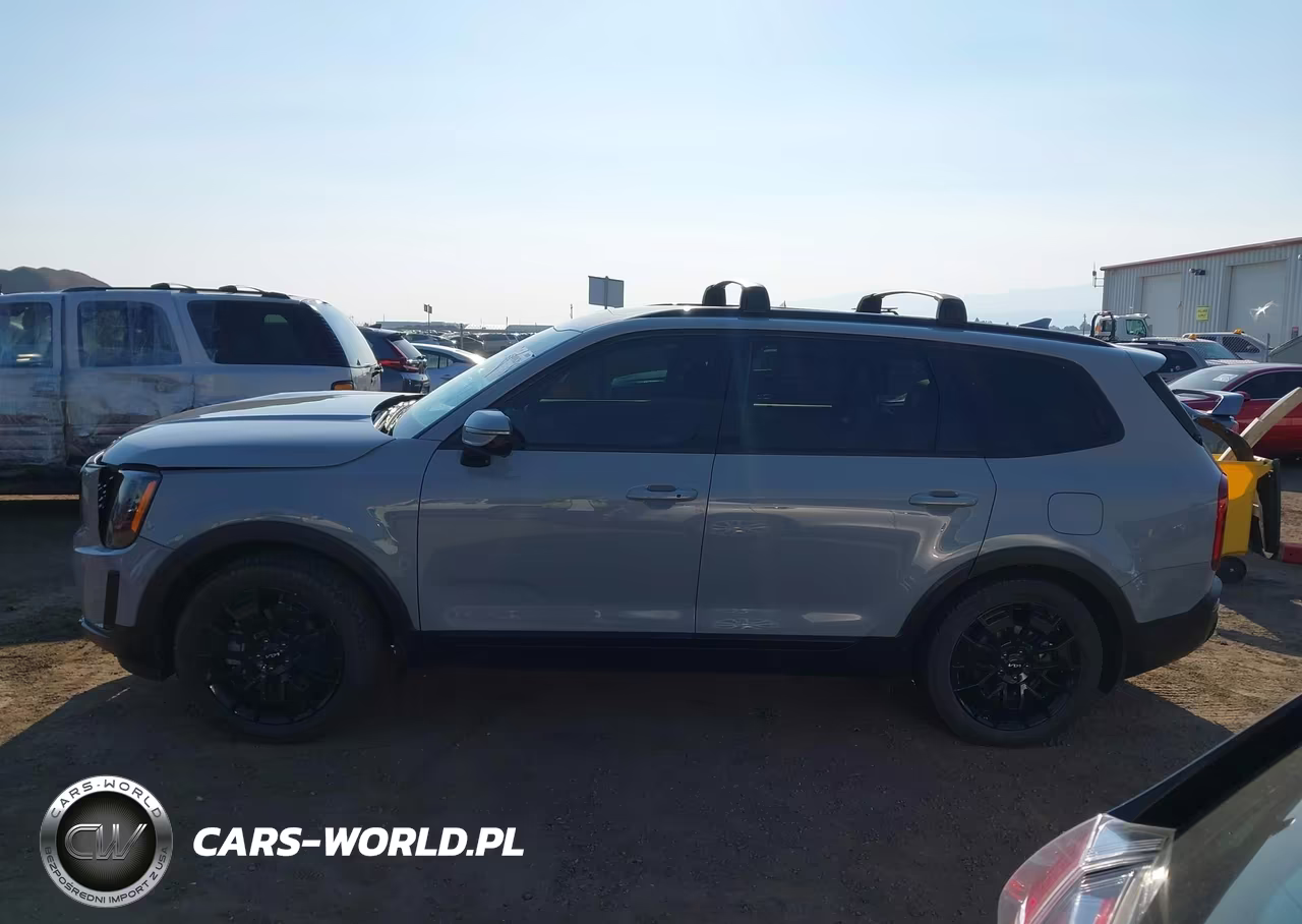 2022 Kia Telluride Sx VIN:5XYP5DHC2NG240187 - 14
