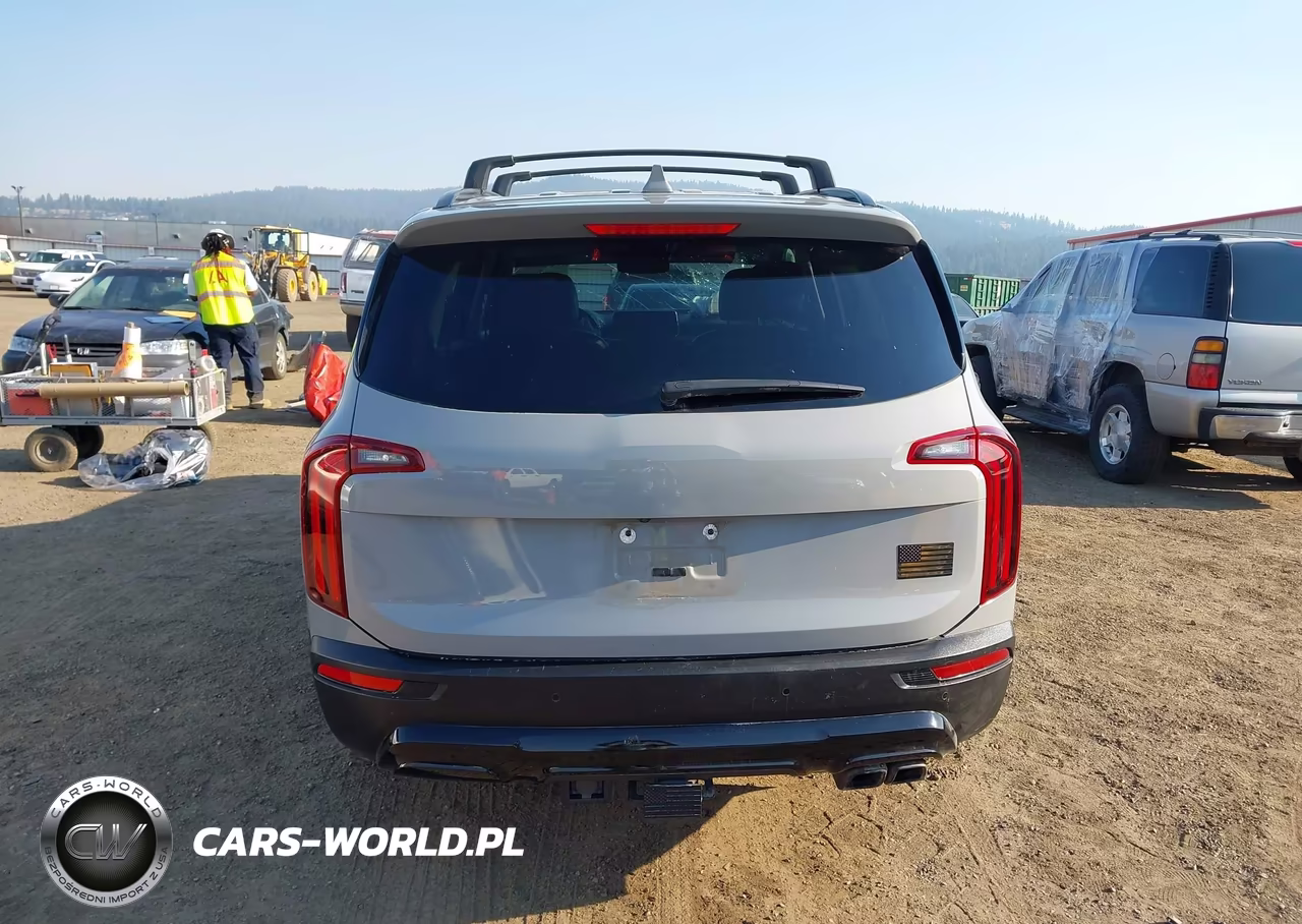 2022 Kia Telluride Sx VIN:5XYP5DHC2NG240187 - 16