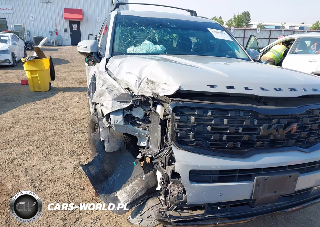 2022 Kia Telluride Sx VIN:5XYP5DHC2NG240187 - 17
