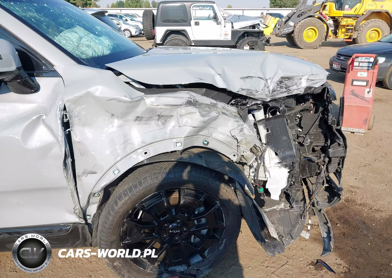 2022 Kia Telluride Sx VIN:5XYP5DHC2NG240187 - 18