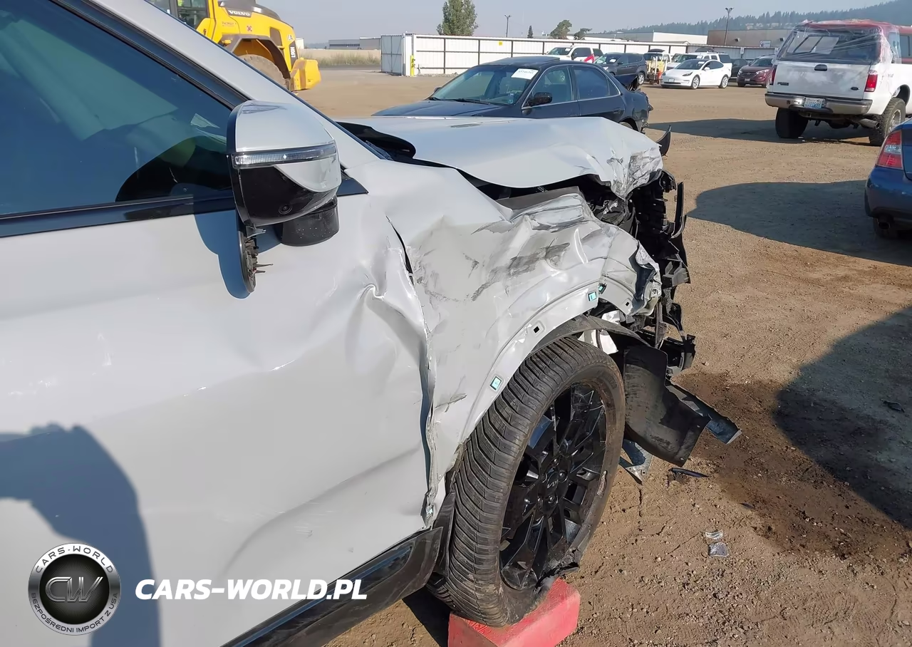 2022 Kia Telluride Sx VIN:5XYP5DHC2NG240187 - 19