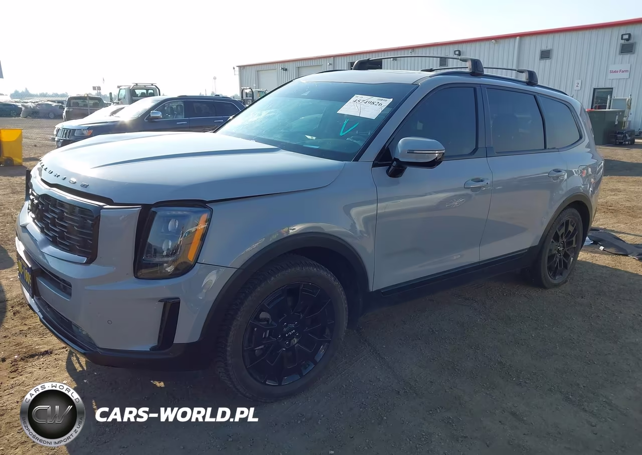 2022 Kia Telluride Sx VIN:5XYP5DHC2NG240187 - 2