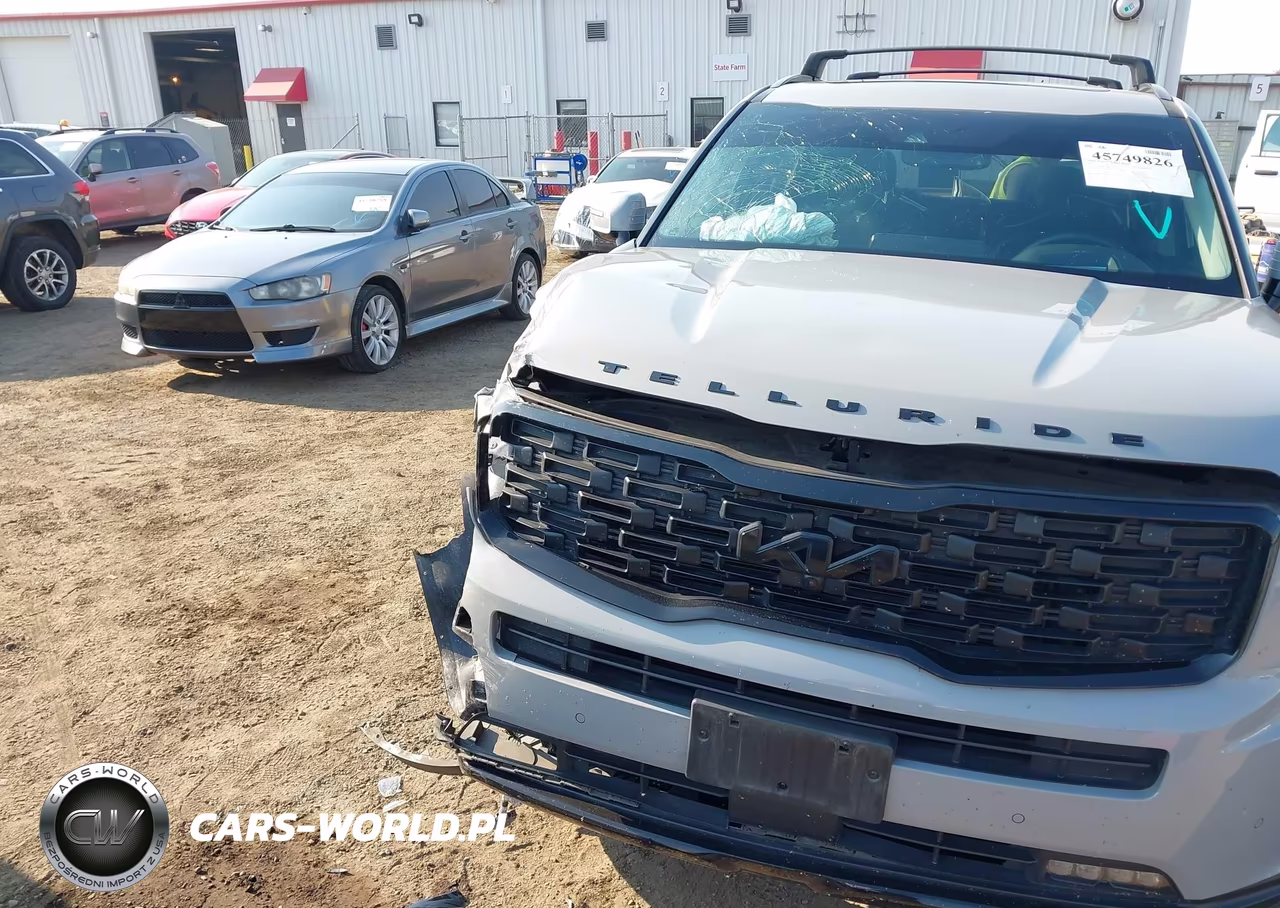2022 Kia Telluride Sx VIN:5XYP5DHC2NG240187 - 20