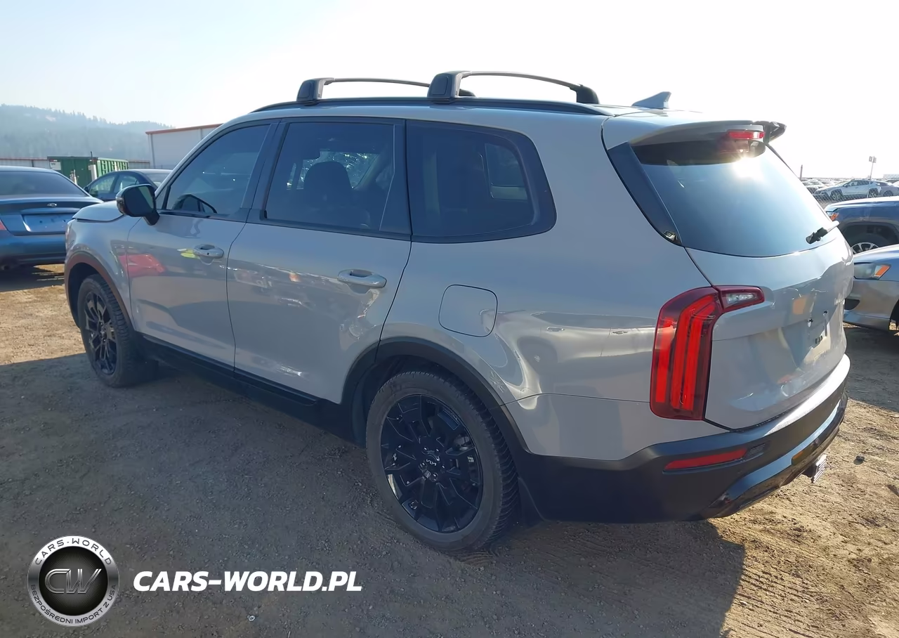 2022 Kia Telluride Sx VIN:5XYP5DHC2NG240187 - 3