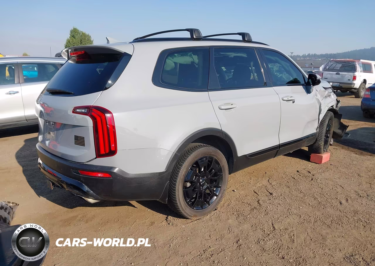 2022 Kia Telluride Sx VIN:5XYP5DHC2NG240187 - 4