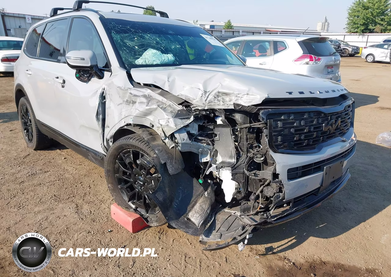 2022 Kia Telluride Sx VIN:5XYP5DHC2NG240187 - 6
