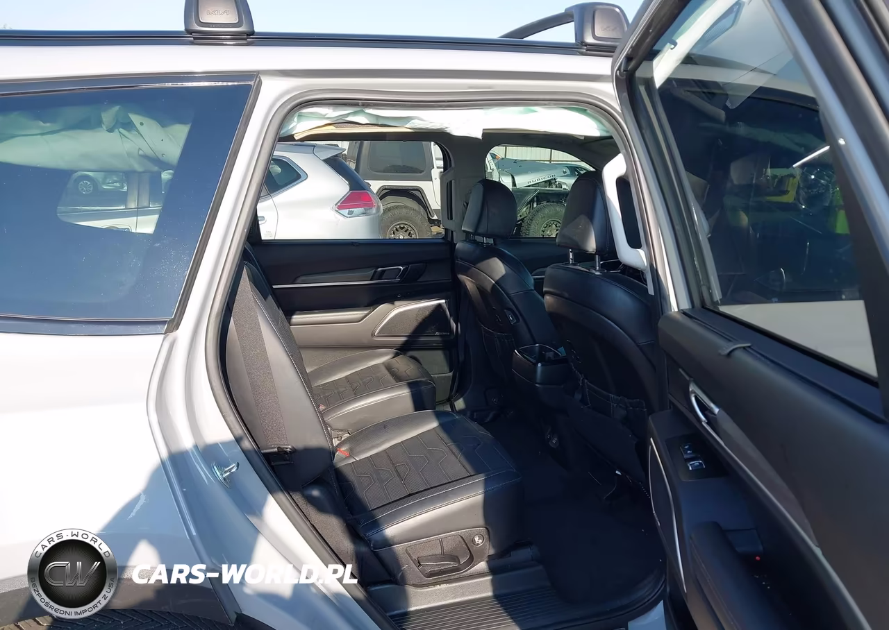 2022 Kia Telluride Sx VIN:5XYP5DHC2NG240187 - 8