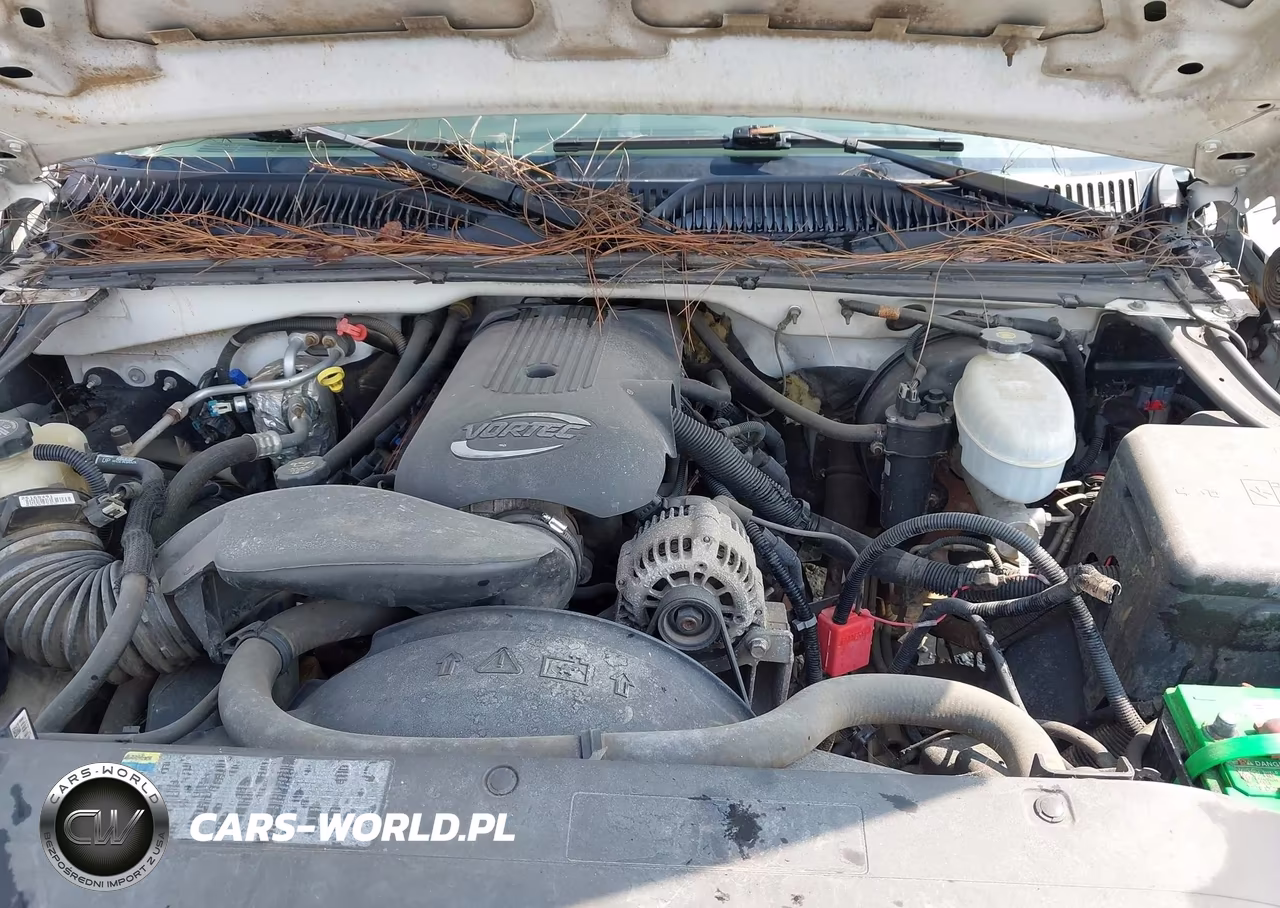 2003 Chevrolet Silverado 1500 Work Truck VIN:1GCEC14TX3Z325262 - 10