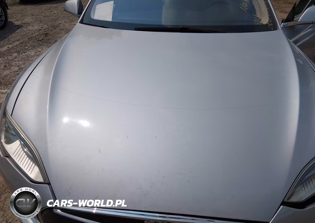 2012 Tesla Model S Signature VIN:5YJSA1CN5CFP01674 - 10