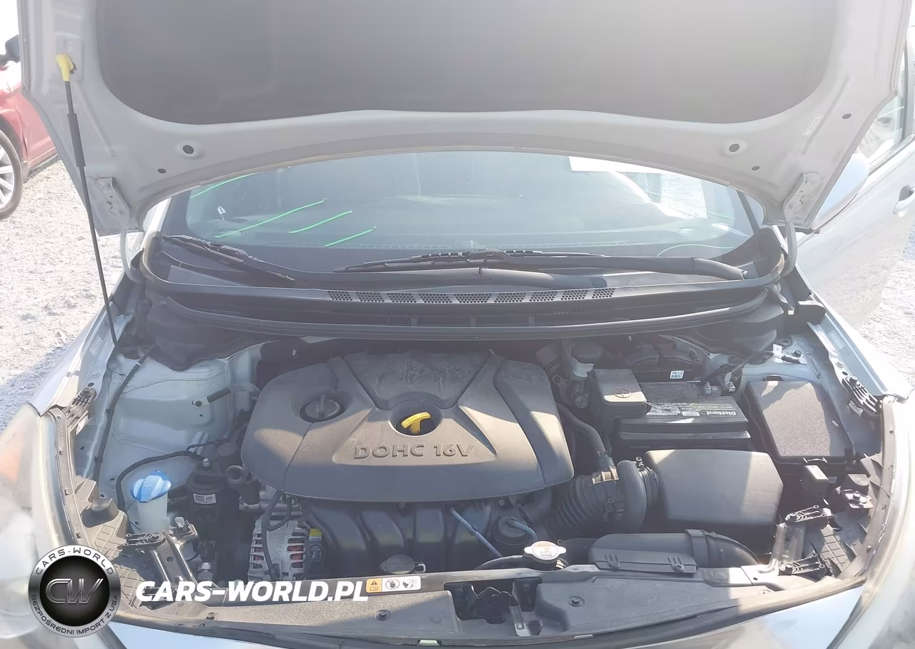 2016 Kia Forte Lx VIN:KNAFK4A63G5514109 - 10