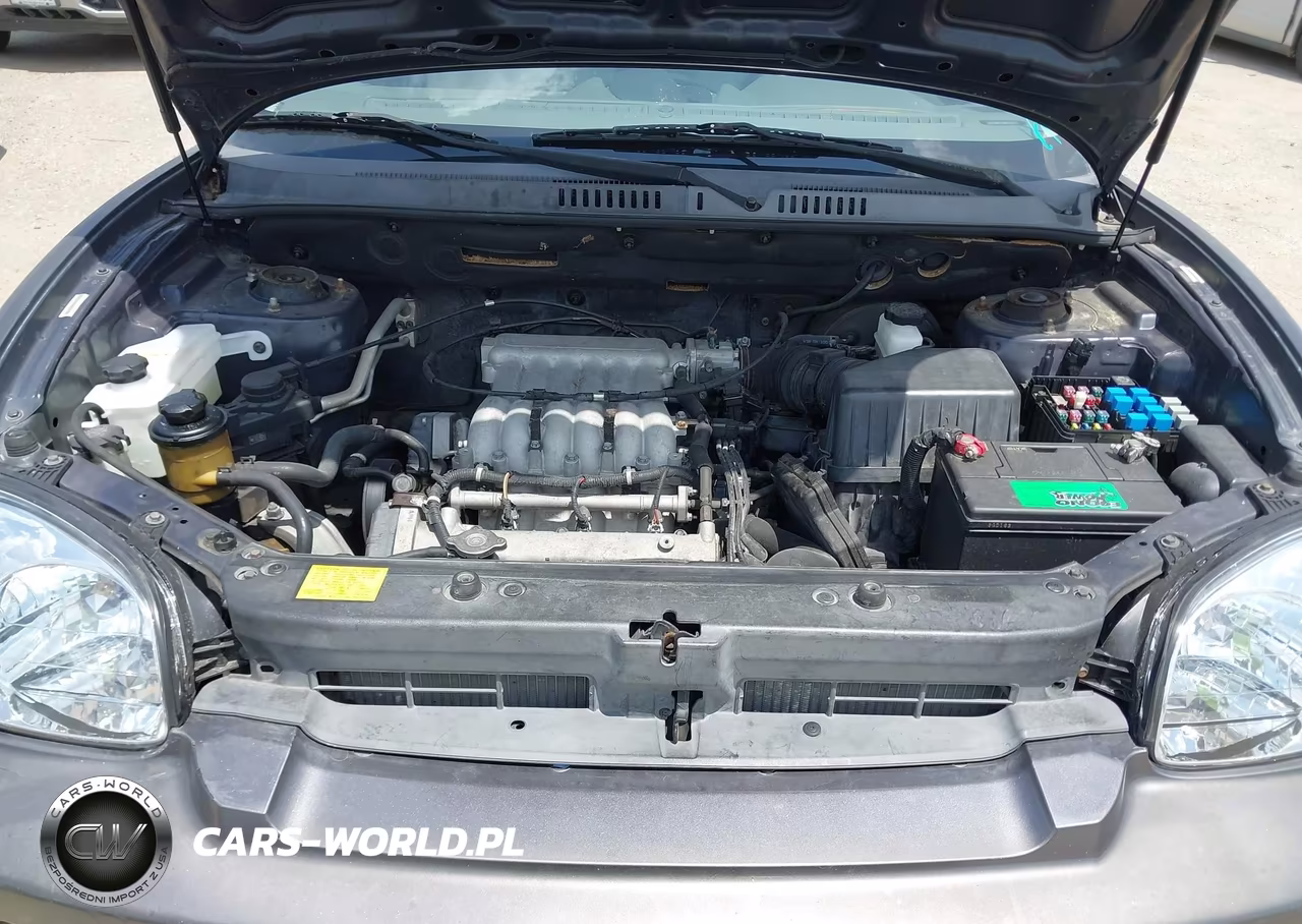2006 Hyundai Santa Fe Gls VIN:KM8SC13D86U057306 - 10