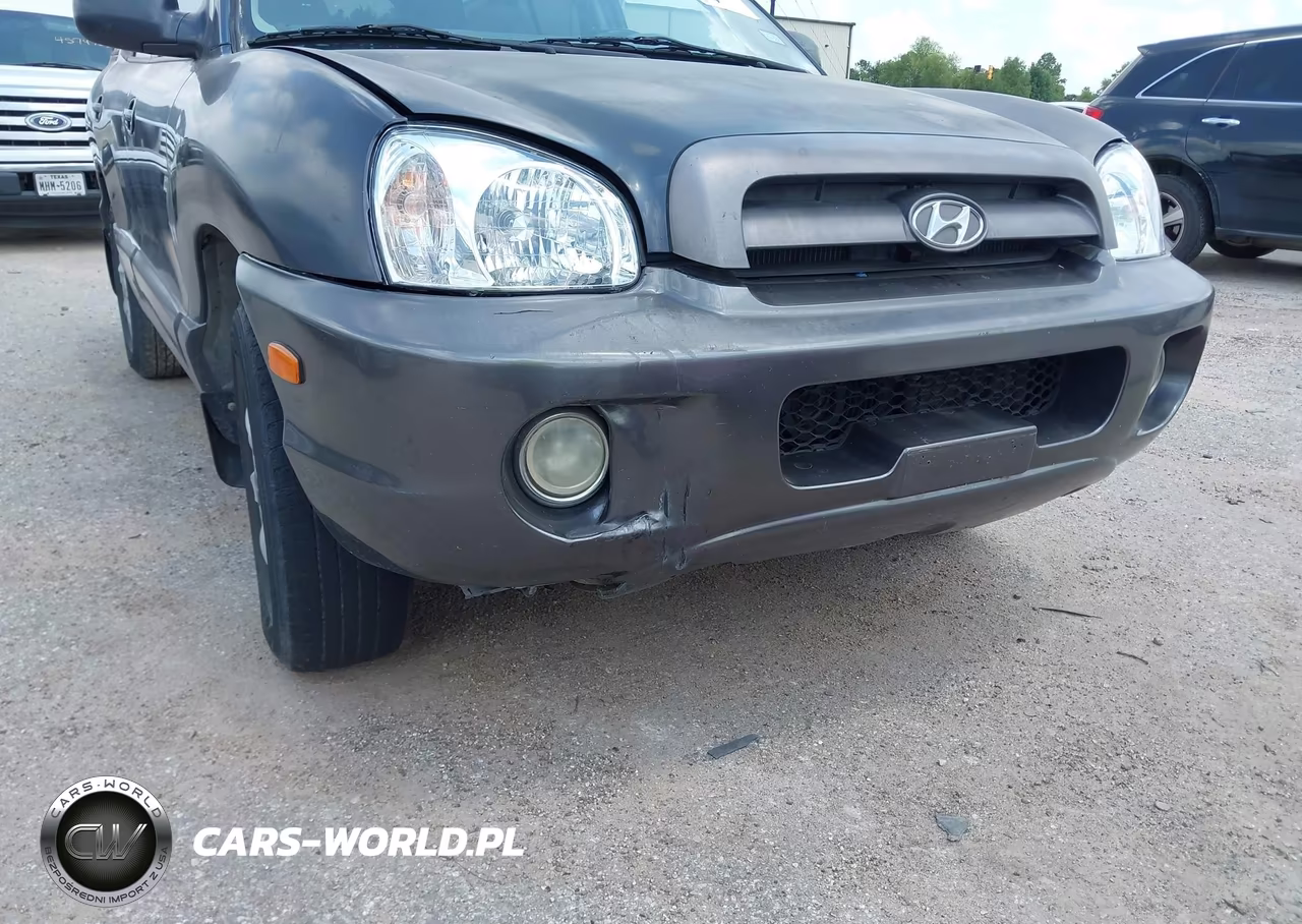 2006 Hyundai Santa Fe Gls VIN:KM8SC13D86U057306 - 6