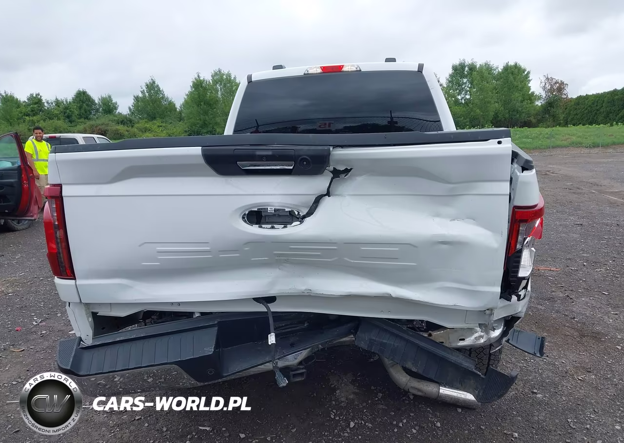 2024 Ford F-150 Xlt VIN:1FTFW3L80RKE05367 - 17