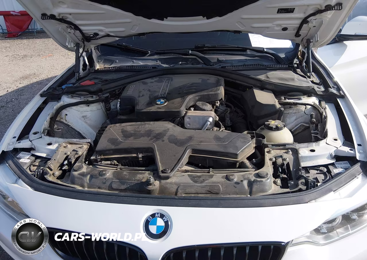 2016 BMW 428I Gran Coupe VIN:WBA4A9C53GG695521 - 10