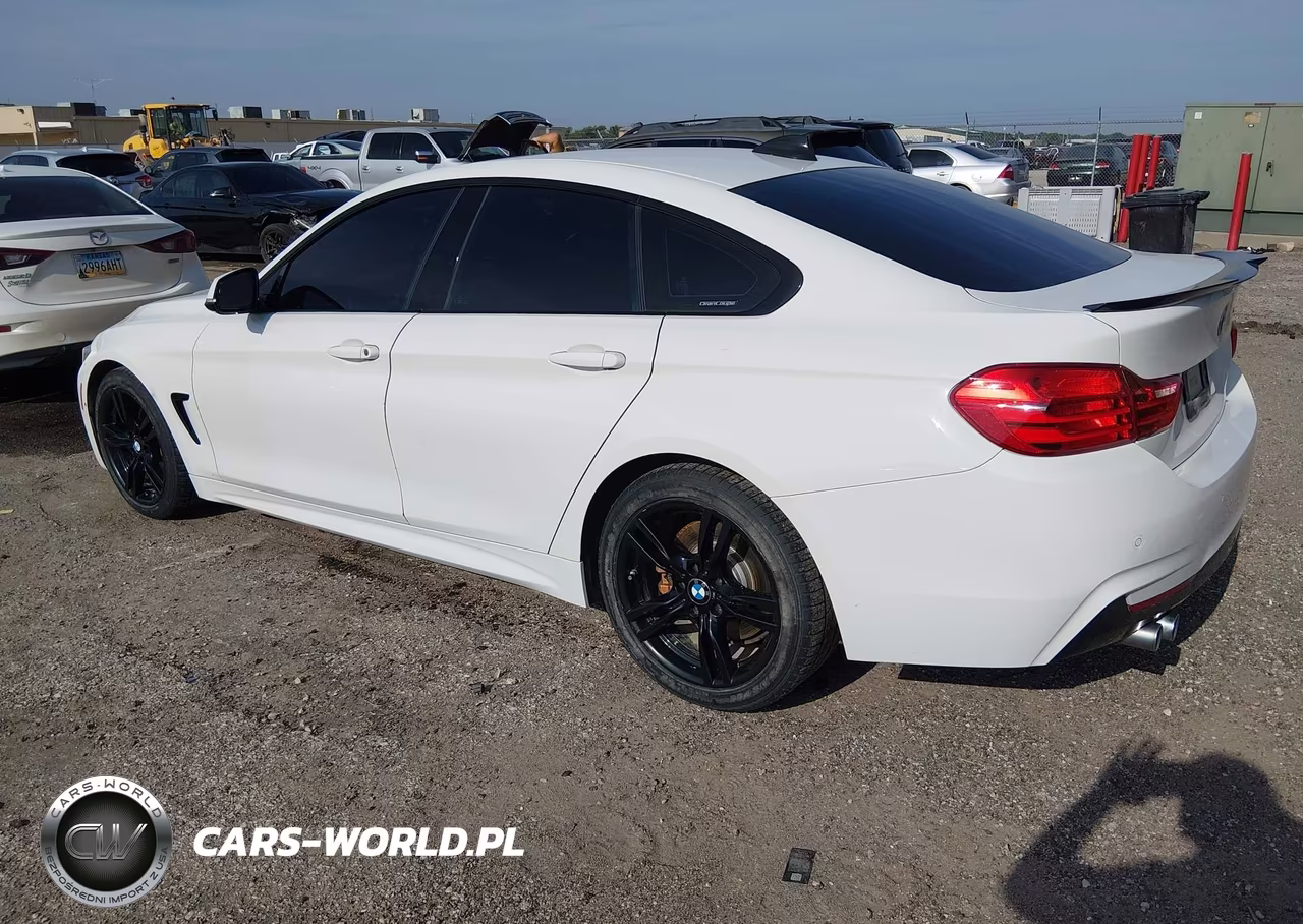 2016 BMW 428I Gran Coupe VIN:WBA4A9C53GG695521 - 3