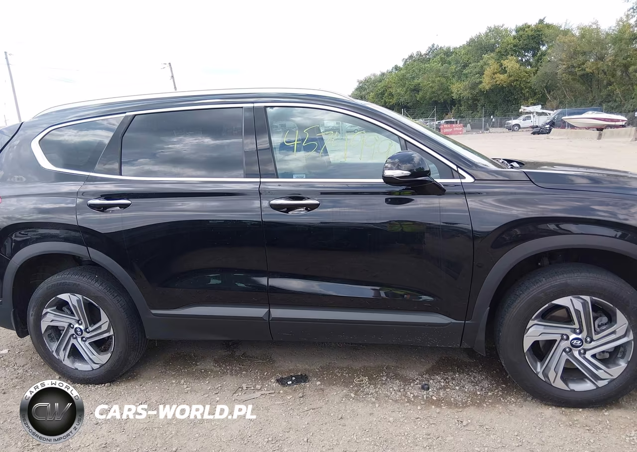 2023 Hyundai Santa Fe Sel VIN:5NMS2DAJ8PH657382 - 13