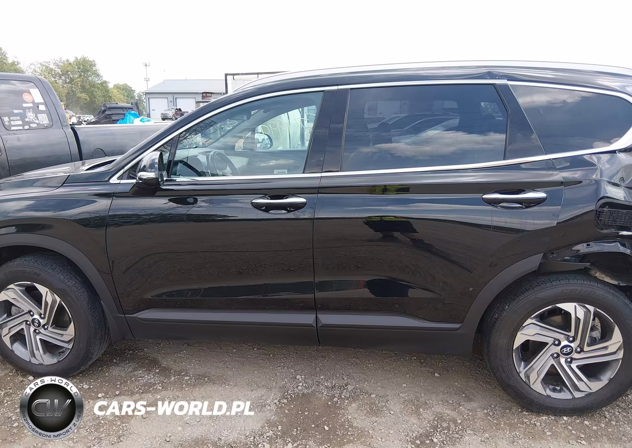 2023 Hyundai Santa Fe Sel VIN:5NMS2DAJ8PH657382 - 14