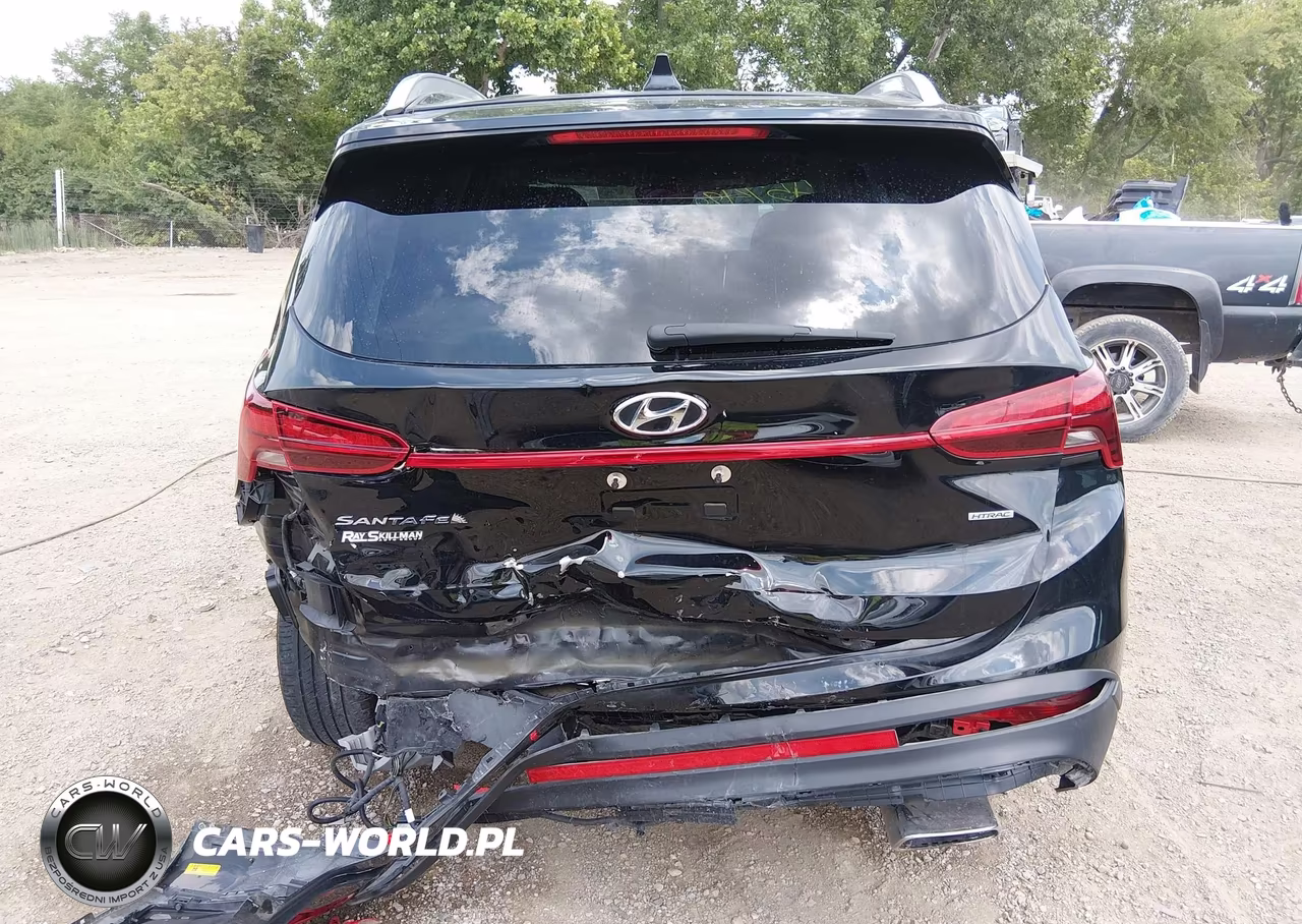 2023 Hyundai Santa Fe Sel VIN:5NMS2DAJ8PH657382 - 16