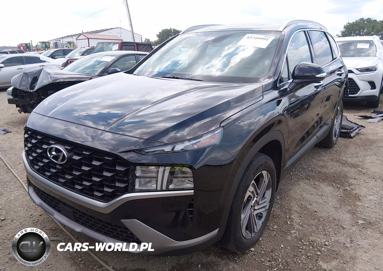 2023 Hyundai Santa Fe Sel VIN:5NMS2DAJ8PH657382 - 2