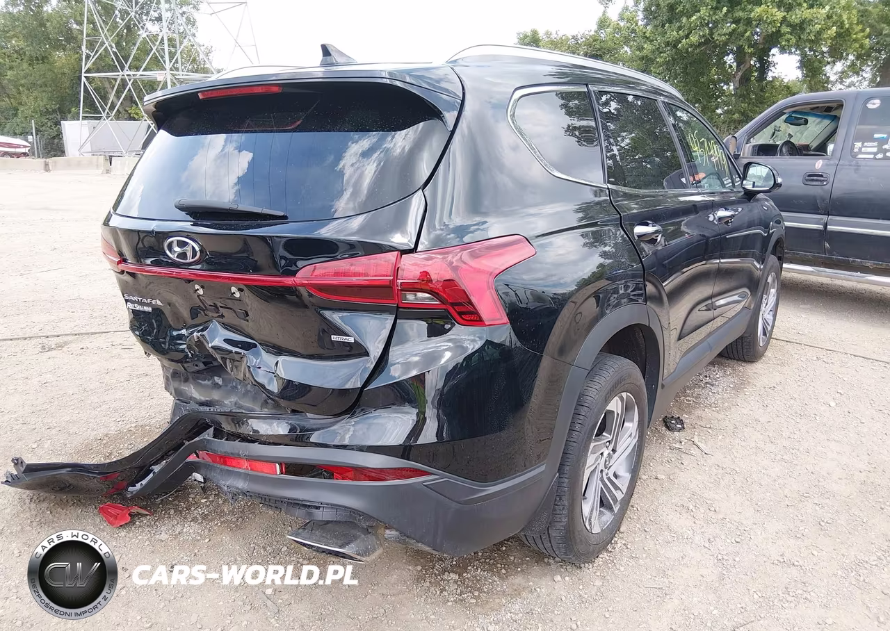 2023 Hyundai Santa Fe Sel VIN:5NMS2DAJ8PH657382 - 4